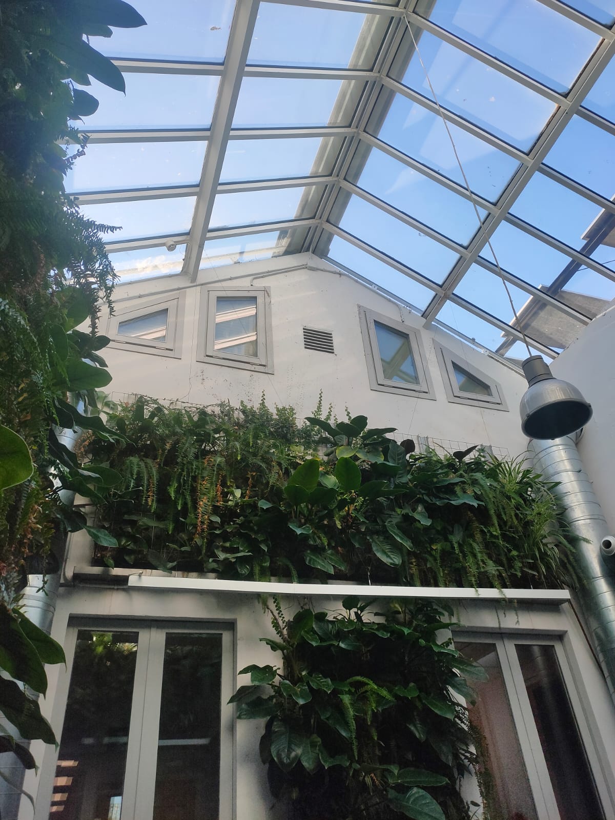 WhatsApp Image 2024-12-04 at 13.04.20 (2)