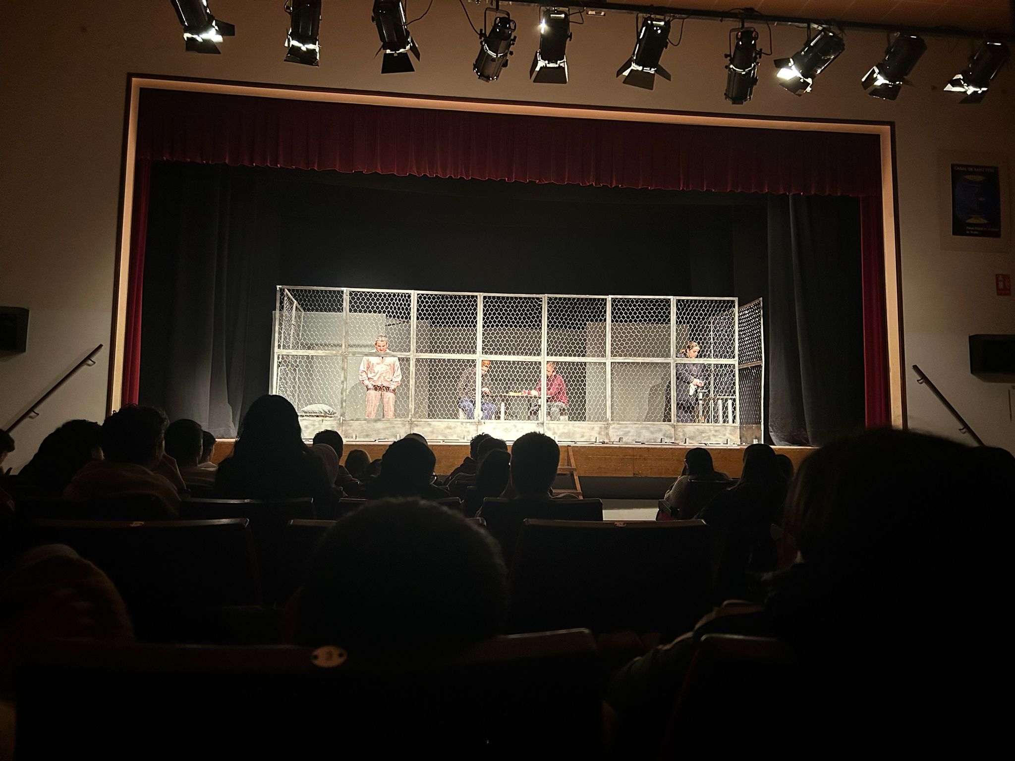 WhatsApp Image 2025-01-28 at 13.53.41