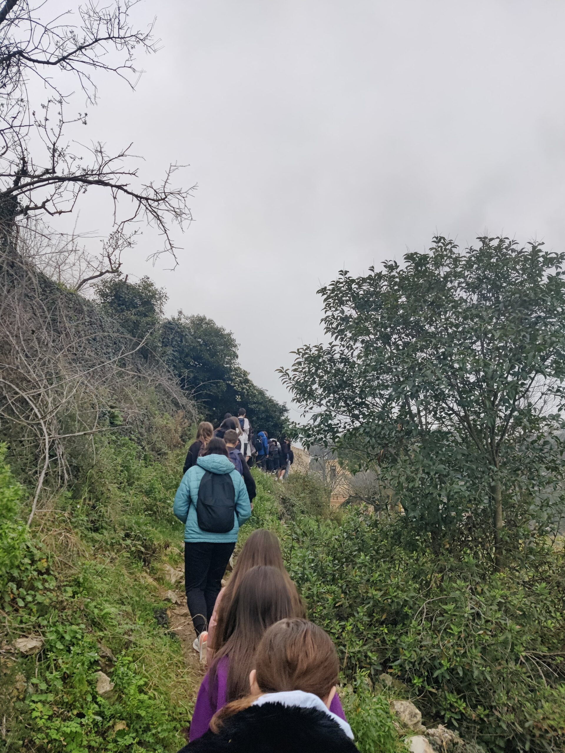 IMG_20250220_103853-min