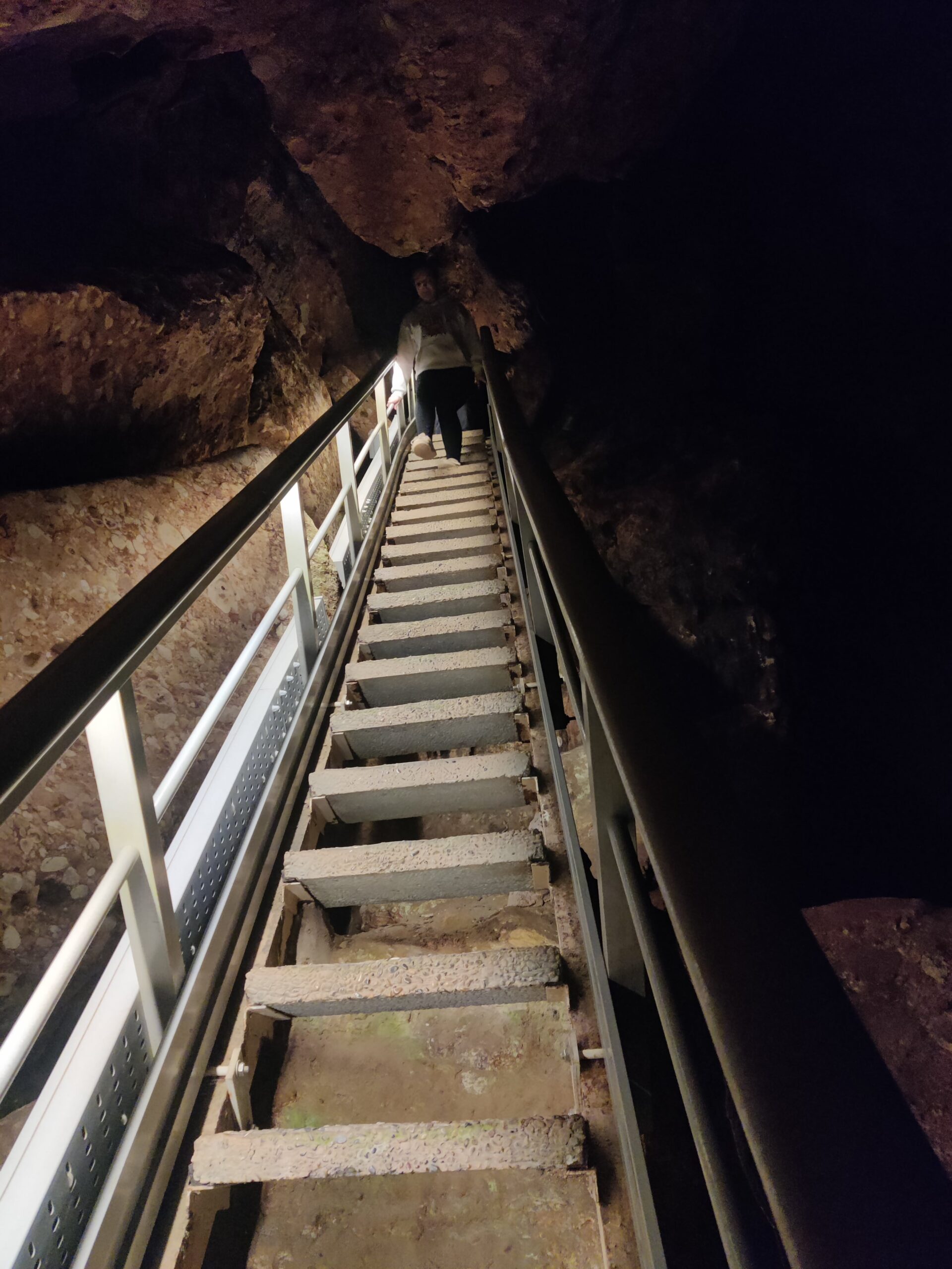 IMG_20250220_123033-min