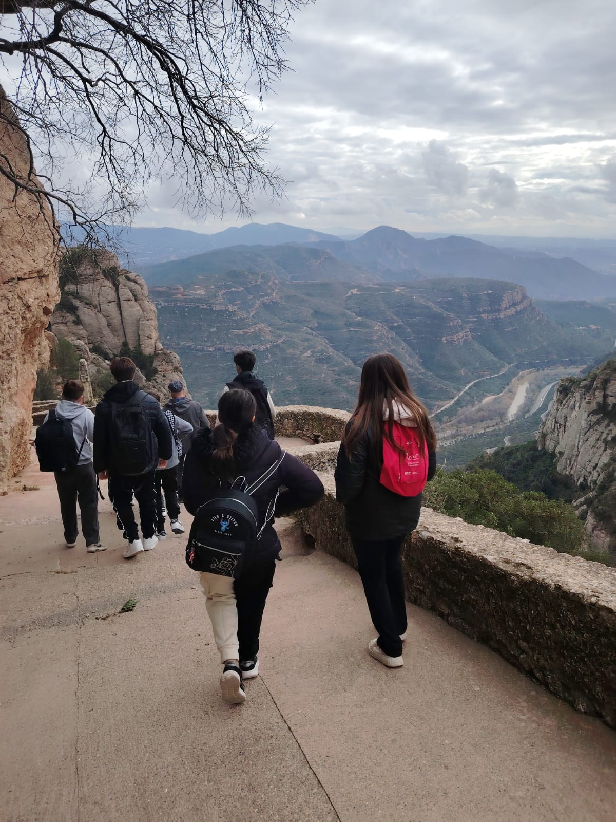 WhatsApp Image 2025-02-11 at 13.09.14