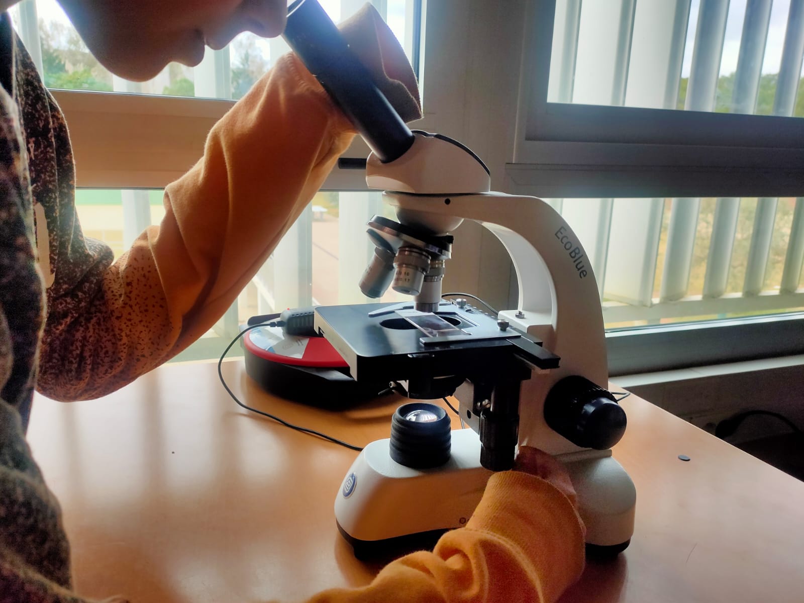 WhatsApp Image 2025-02-11 at 13.17.13 (2)