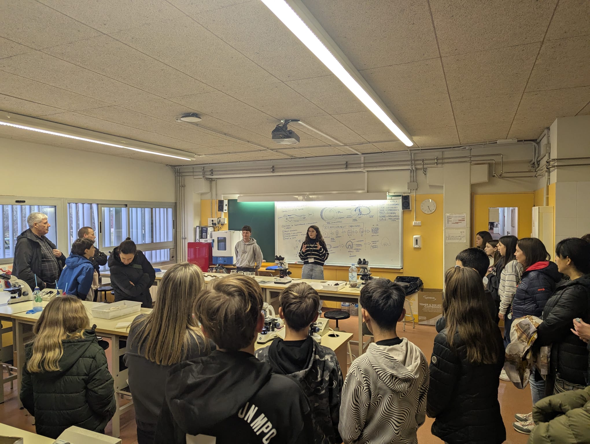 WhatsApp Image 2025-02-25 at 18.47.11 (3)