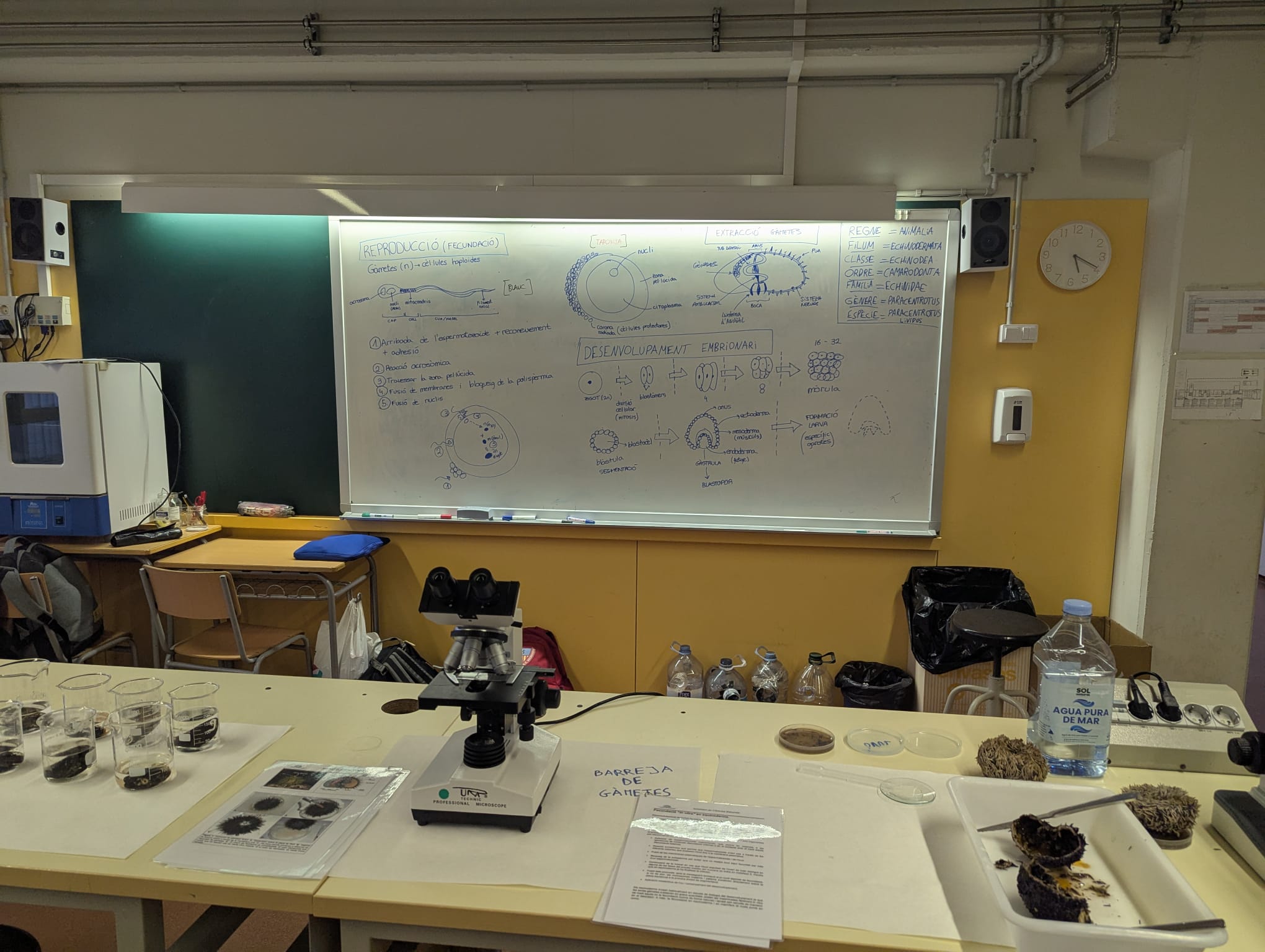 WhatsApp Image 2025-02-25 at 18.47.11 (4)