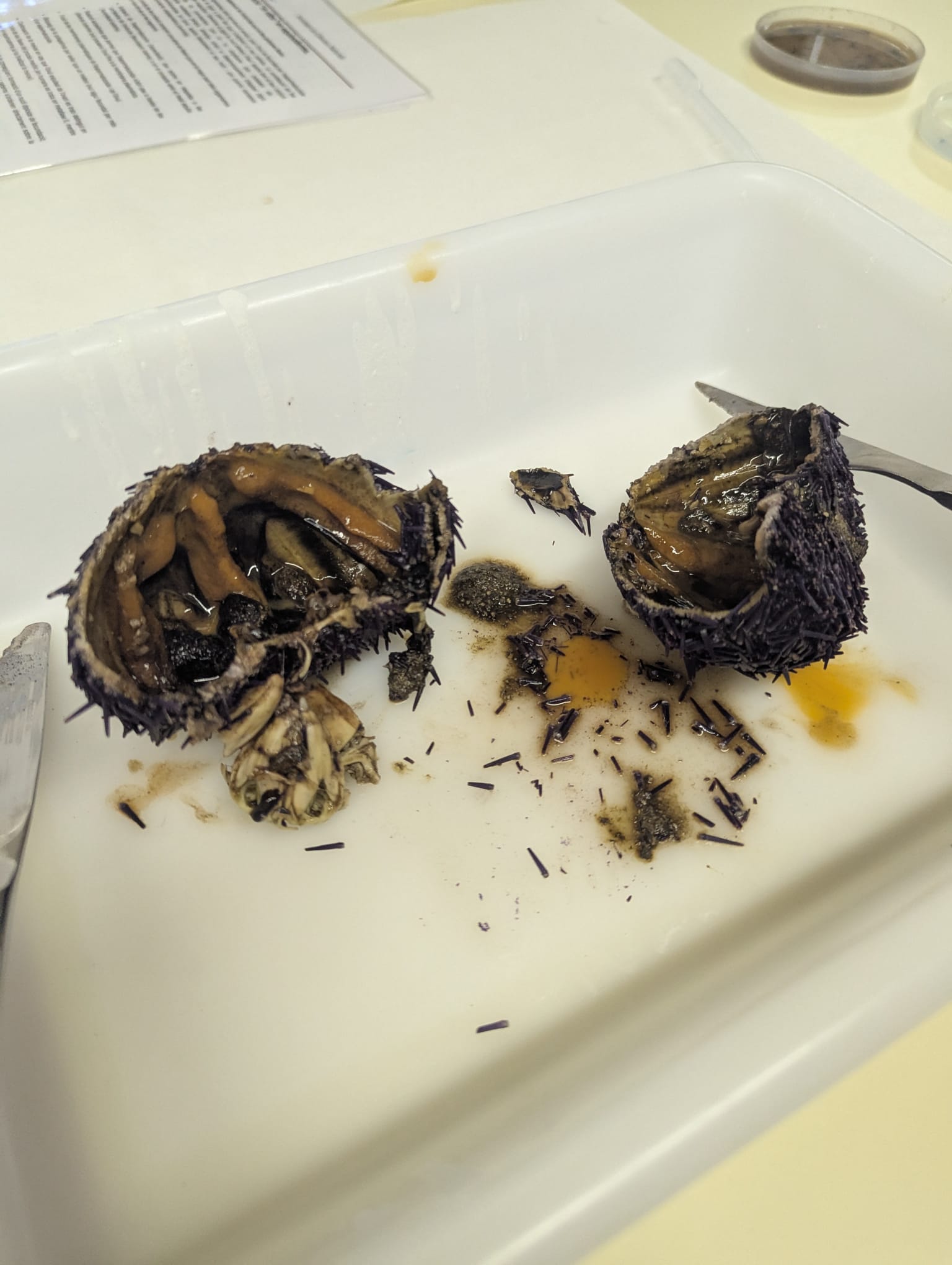 WhatsApp Image 2025-02-25 at 18.47.11 (5)