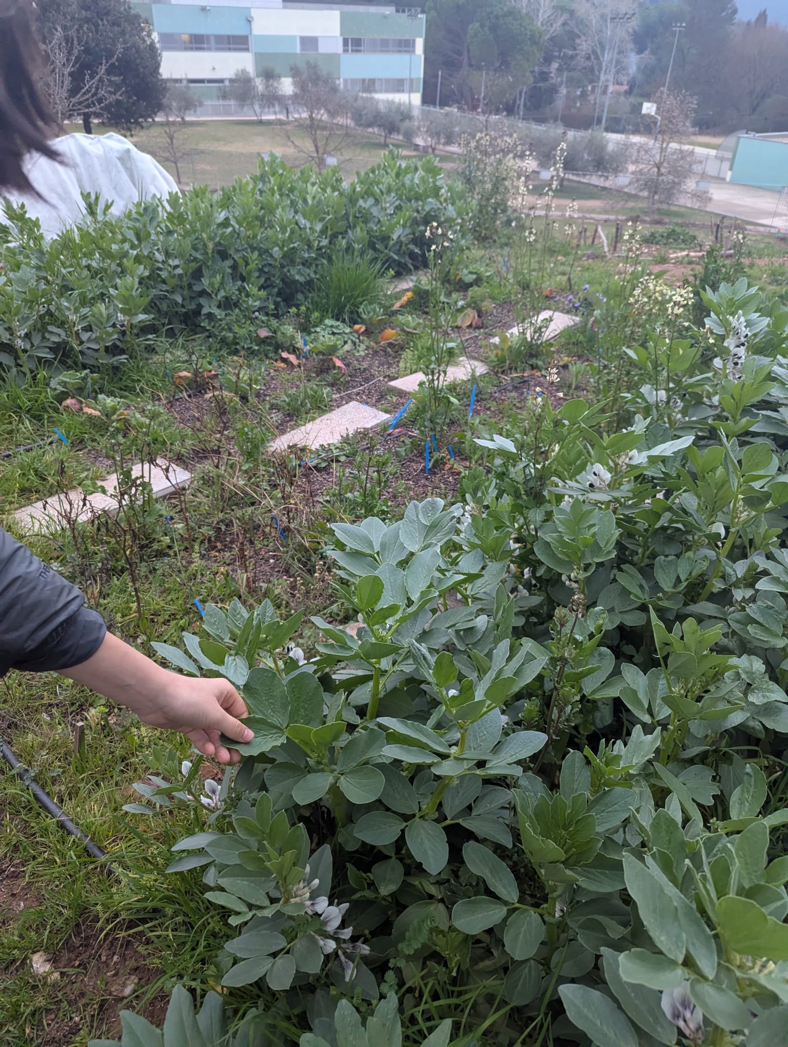 WhatsApp Image 2025-02-25 at 18.47.11