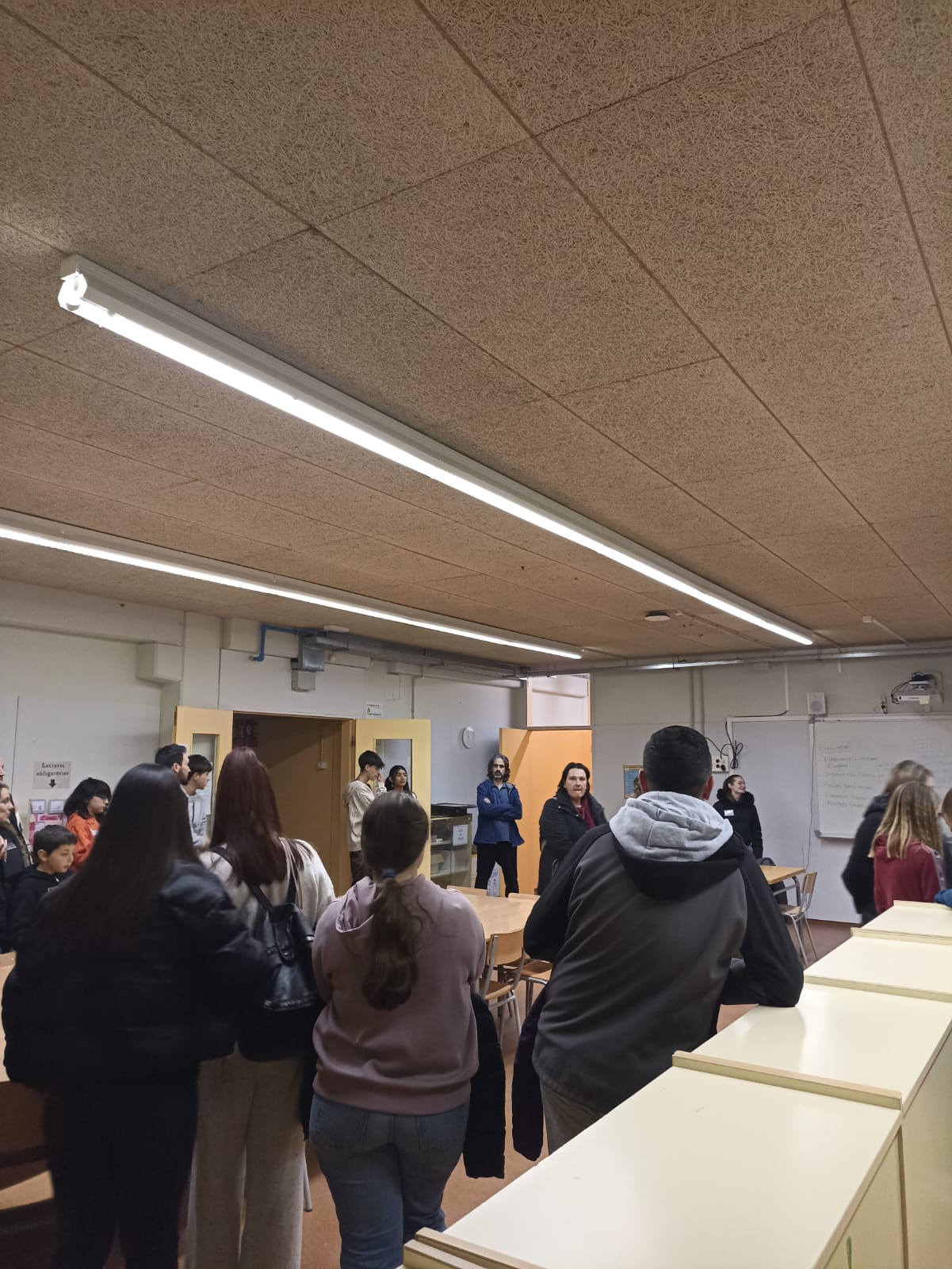 WhatsApp Image 2025-02-25 at 19.34.35 (1)