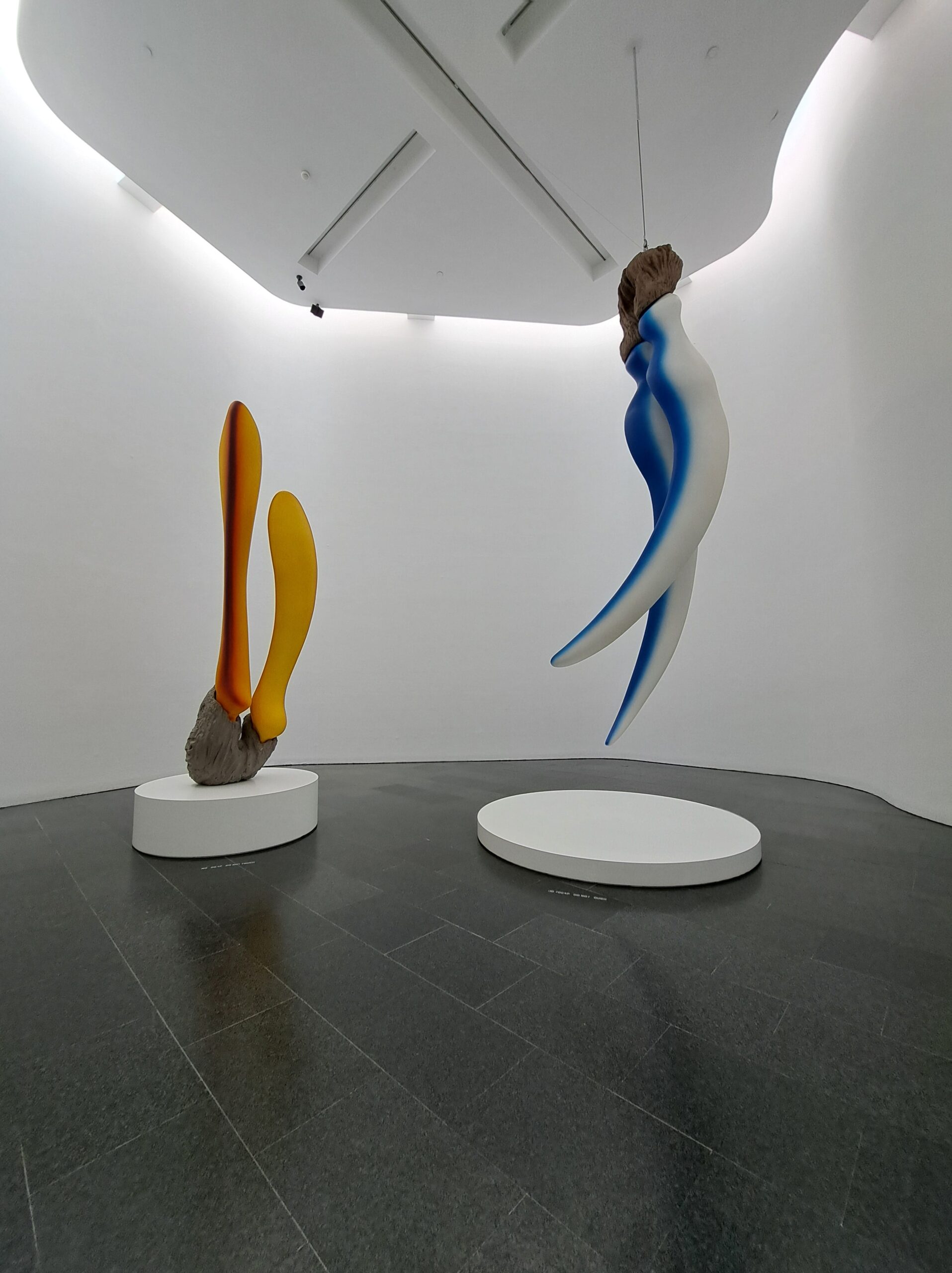 20250305_121018 - Irene Sánchez (profe)-min