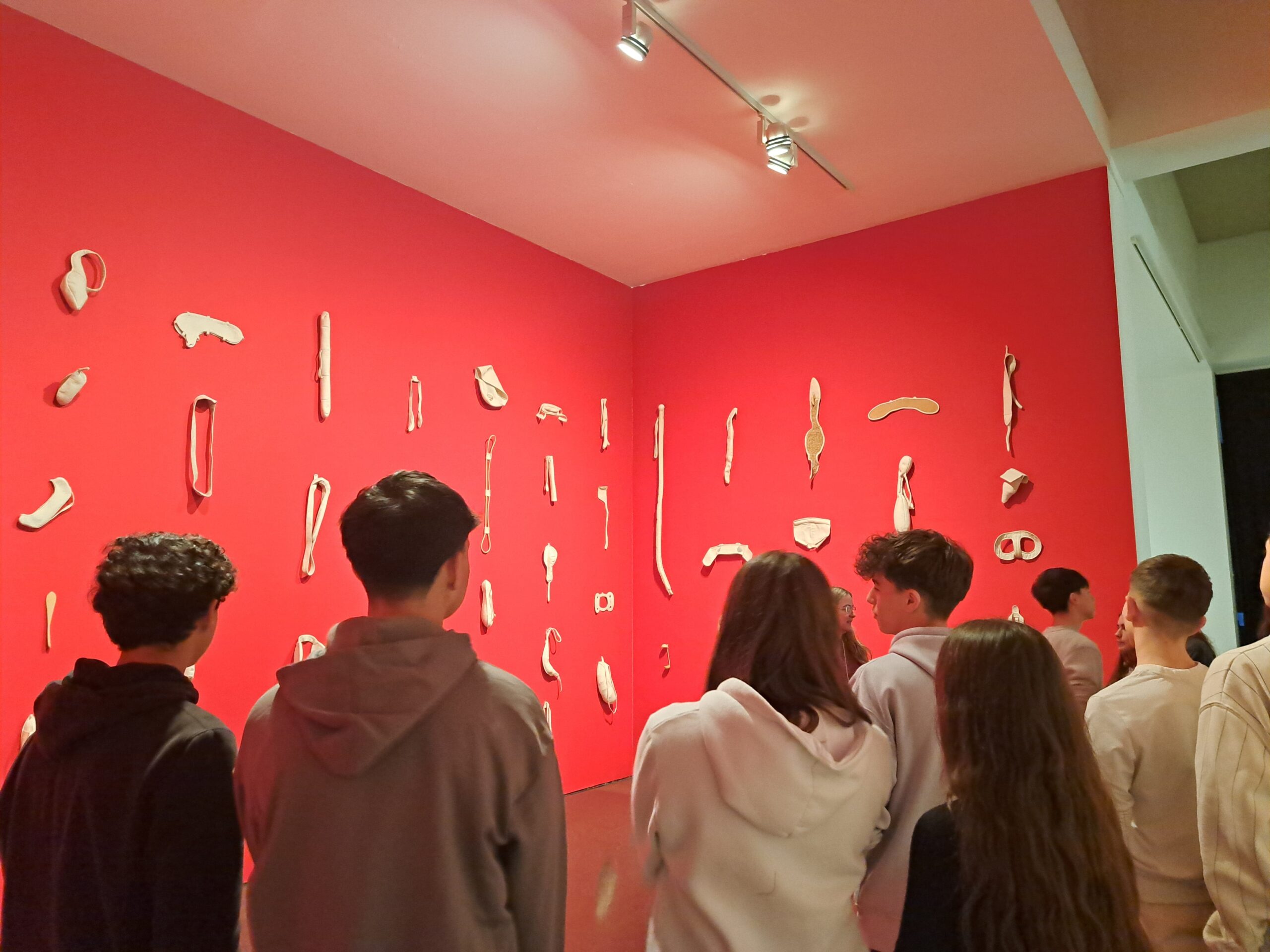 20250305_124838 - Irene Sánchez (profe)-min