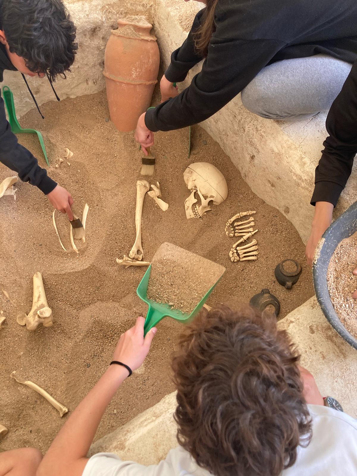 WhatsApp Image 2025-04-23 at 08.50.38 (5)