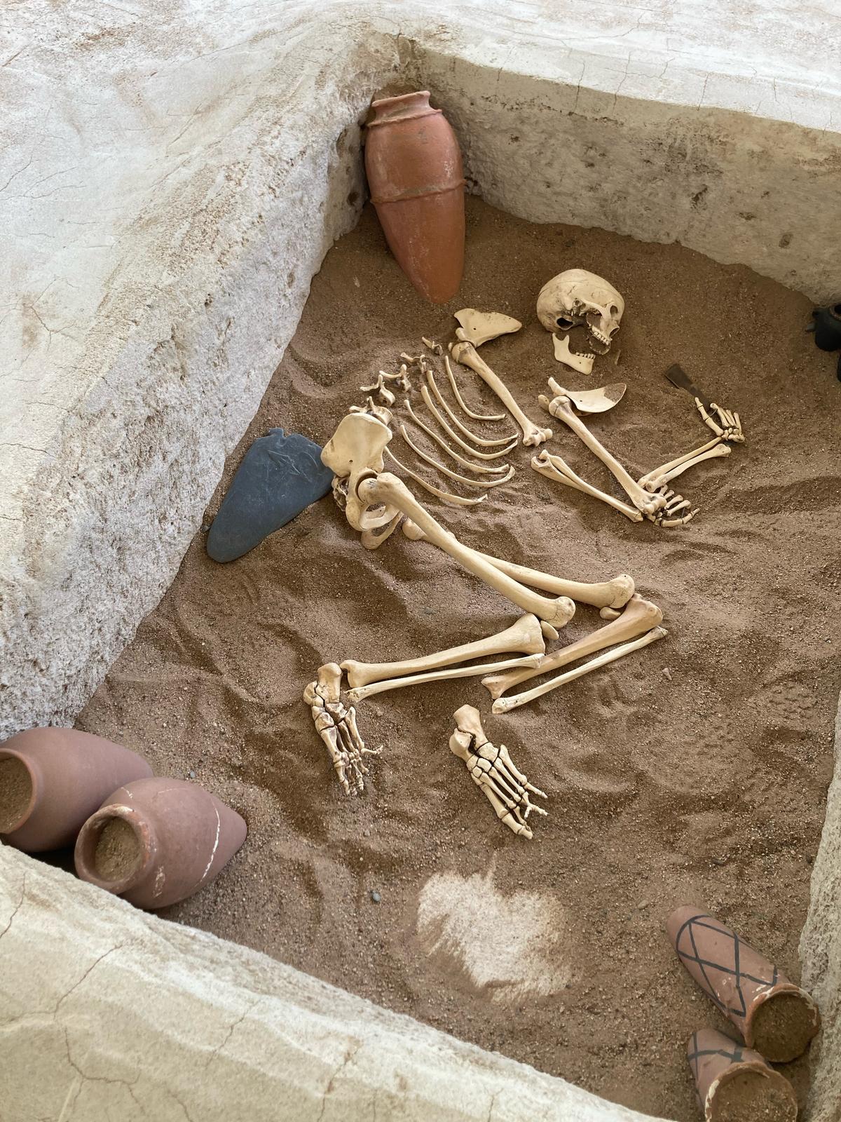 WhatsApp Image 2025-04-23 at 08.50.38