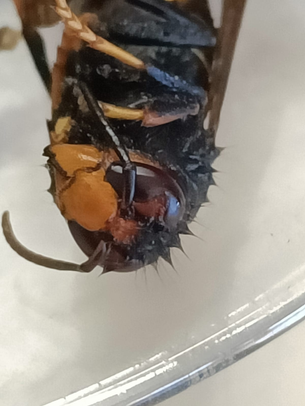 WhatsApp Image 2025-05-09 at 13.49.08