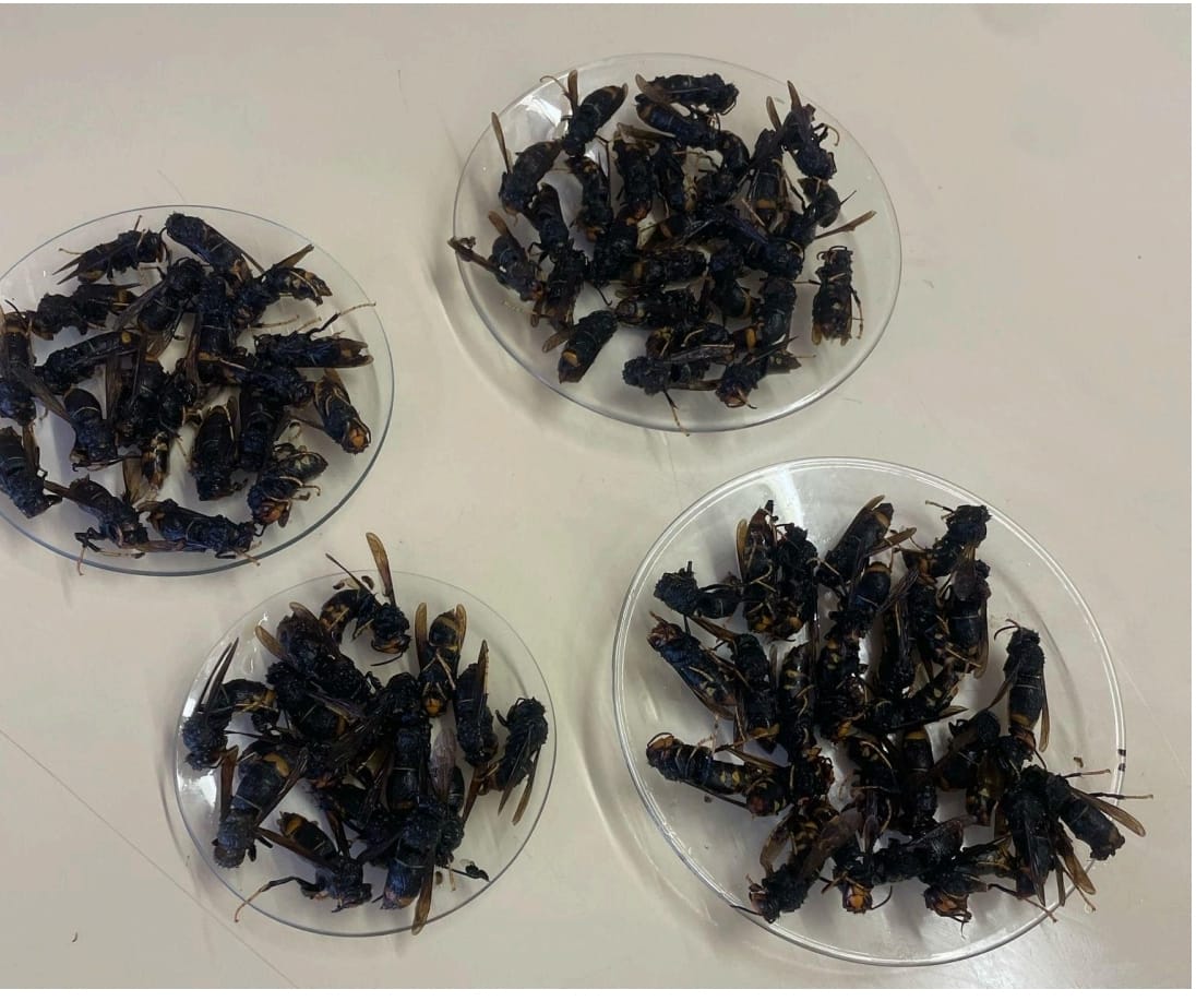 WhatsApp Image 2025-05-09 at 13.49.11 (1)