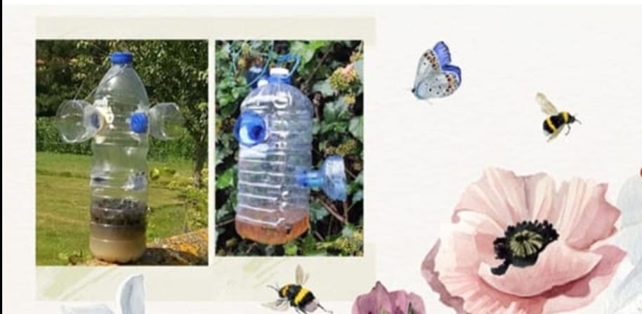 WhatsApp Image 2025-05-09 at 13.49.12