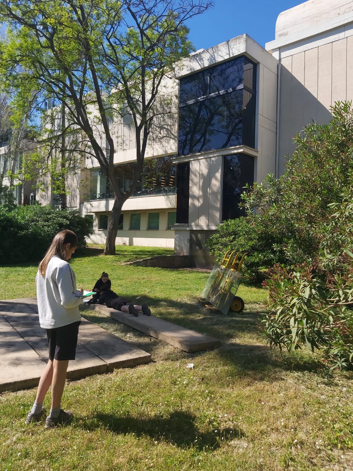 WhatsApp Image 2025-05-16 at 13.43.45