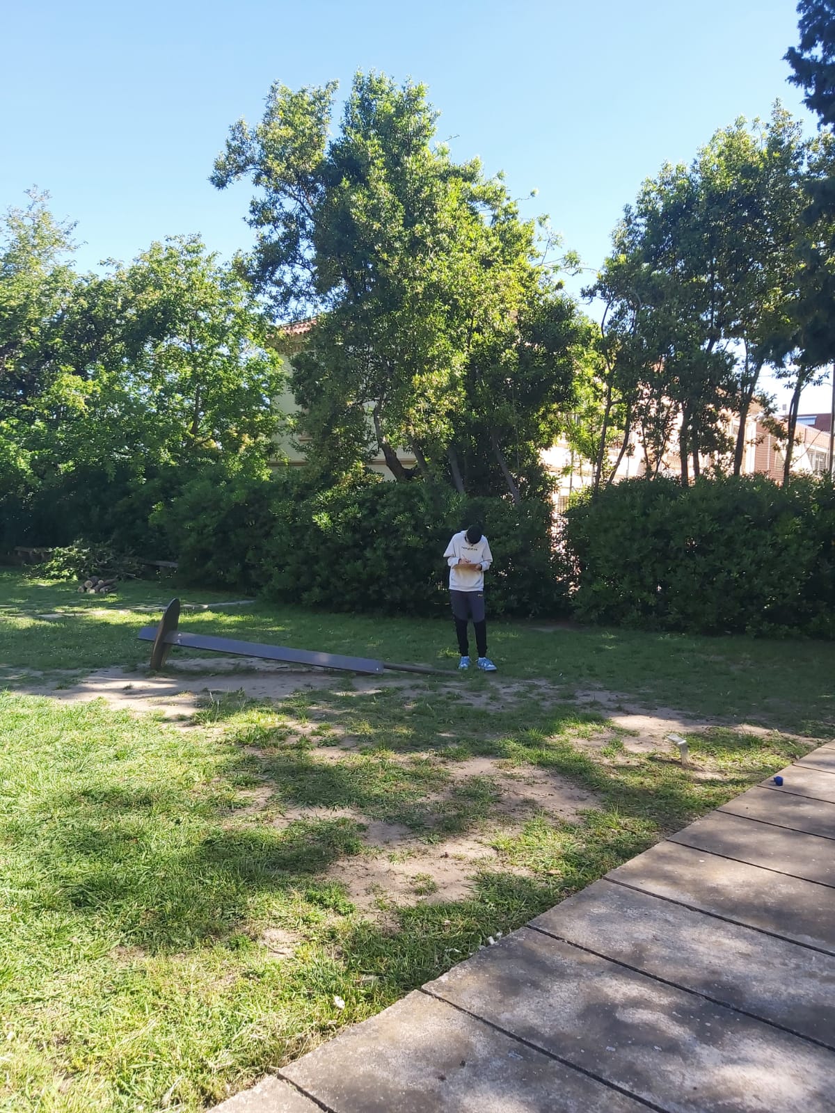 WhatsApp Image 2025-05-16 at 13.43.47