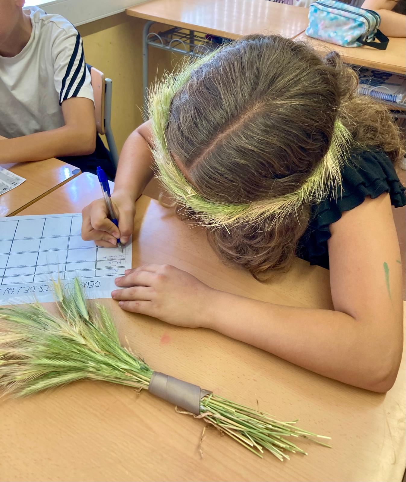 WhatsApp Image 2025-06-04 at 16.24.51 (7)