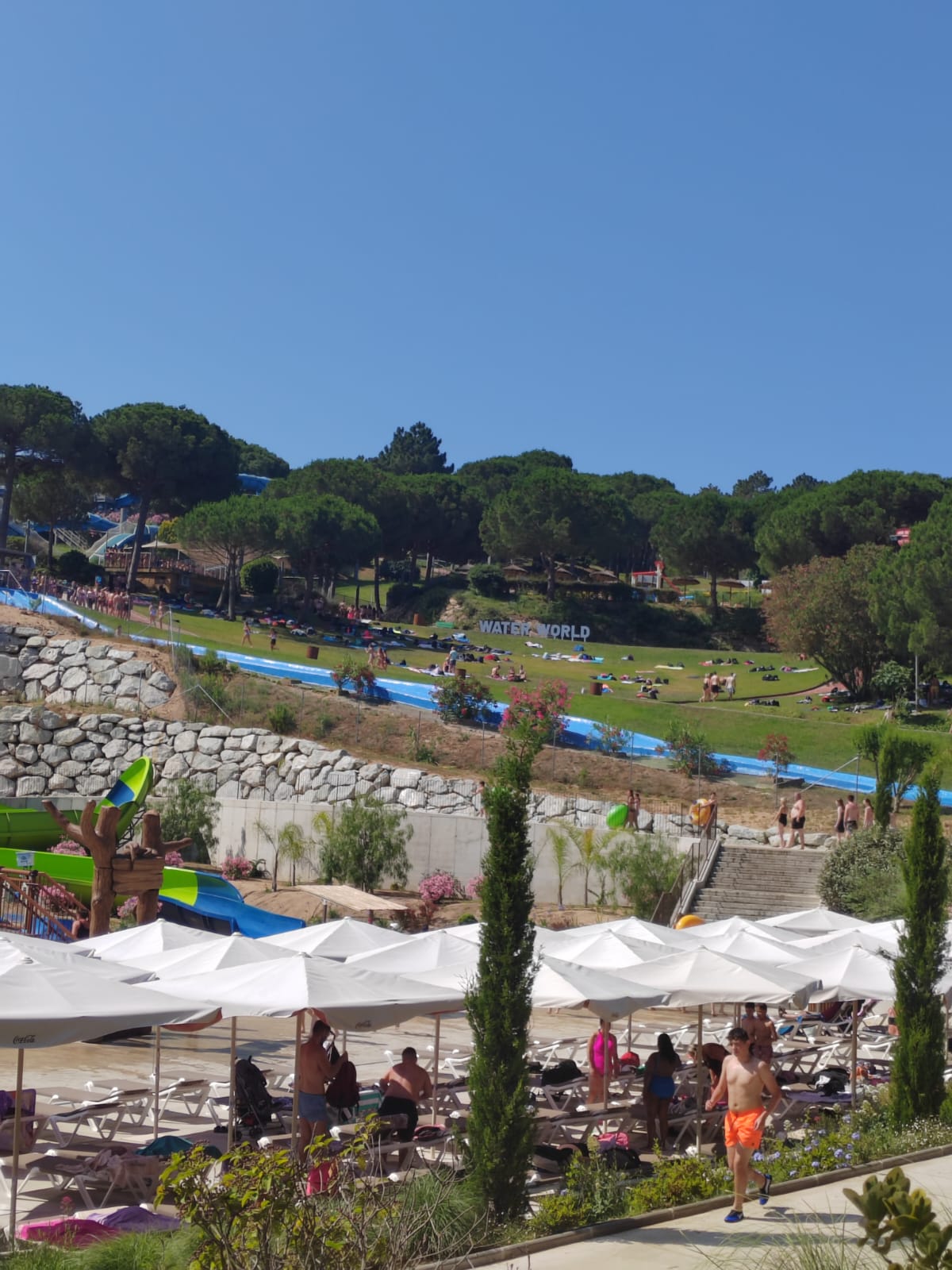 WhatsApp Image 2025-06-18 at 11.04.51 (1)