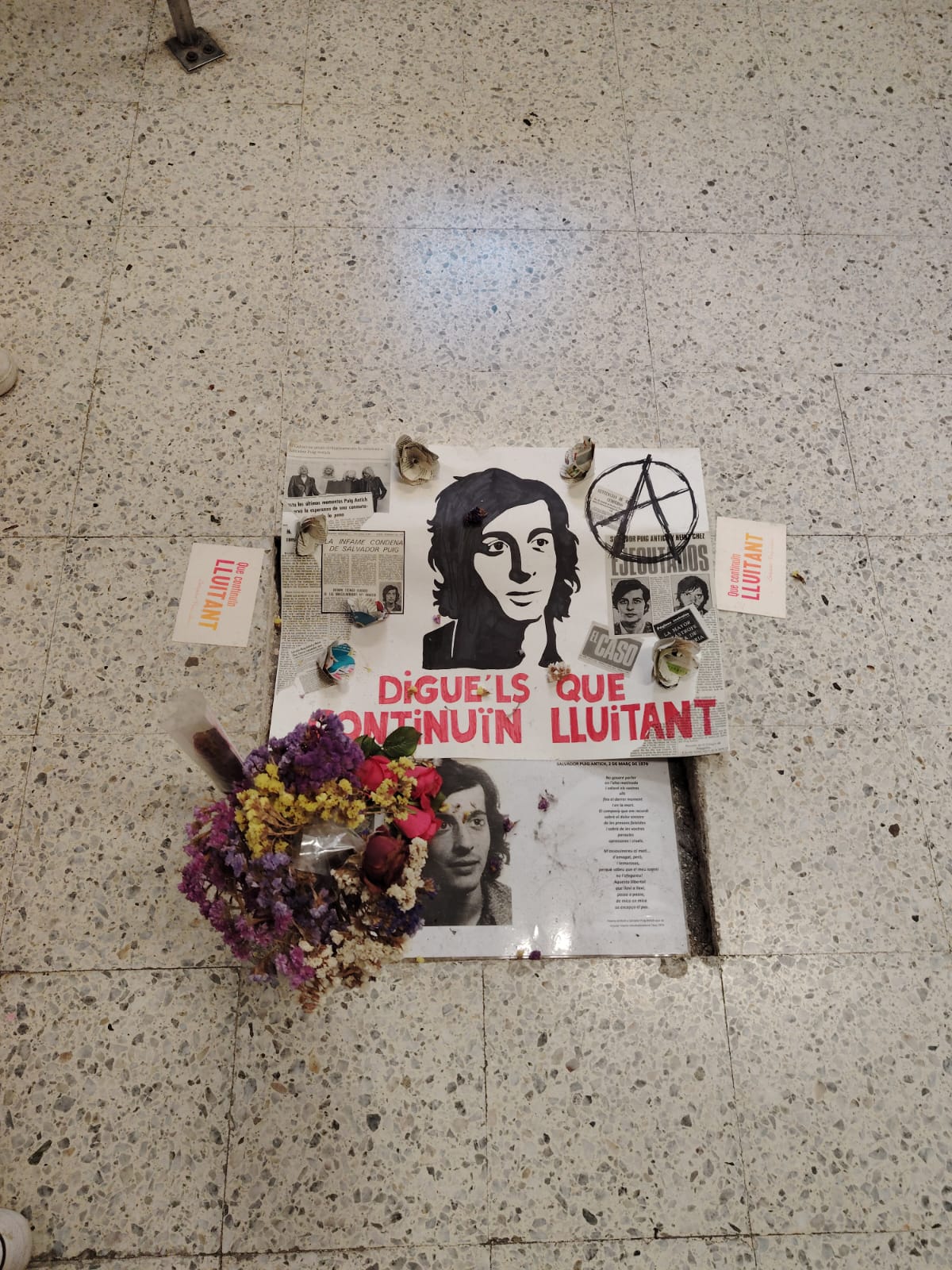 WhatsApp Image 2025-10-07 at 13.25.47