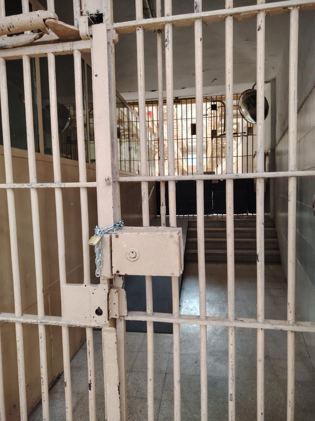 WhatsApp Image 2025-10-07 at 13.25.52 (5)