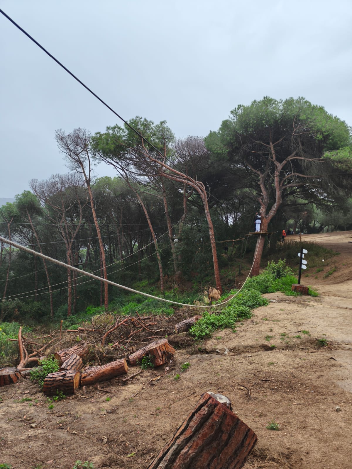 WhatsApp Image 2025-11-20 at 12.16.54