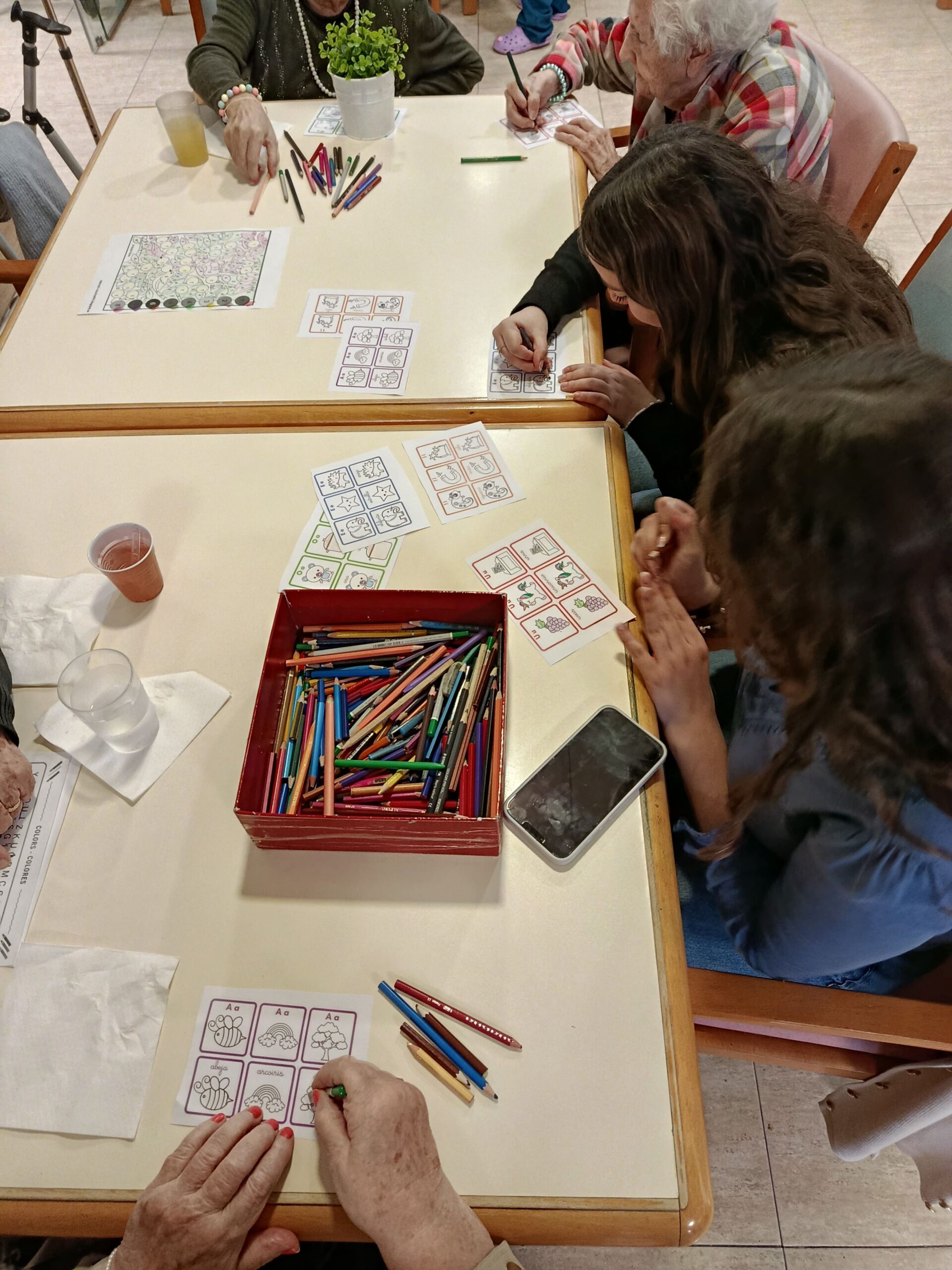 IMG_20251120_164939 (1) - còpia-min