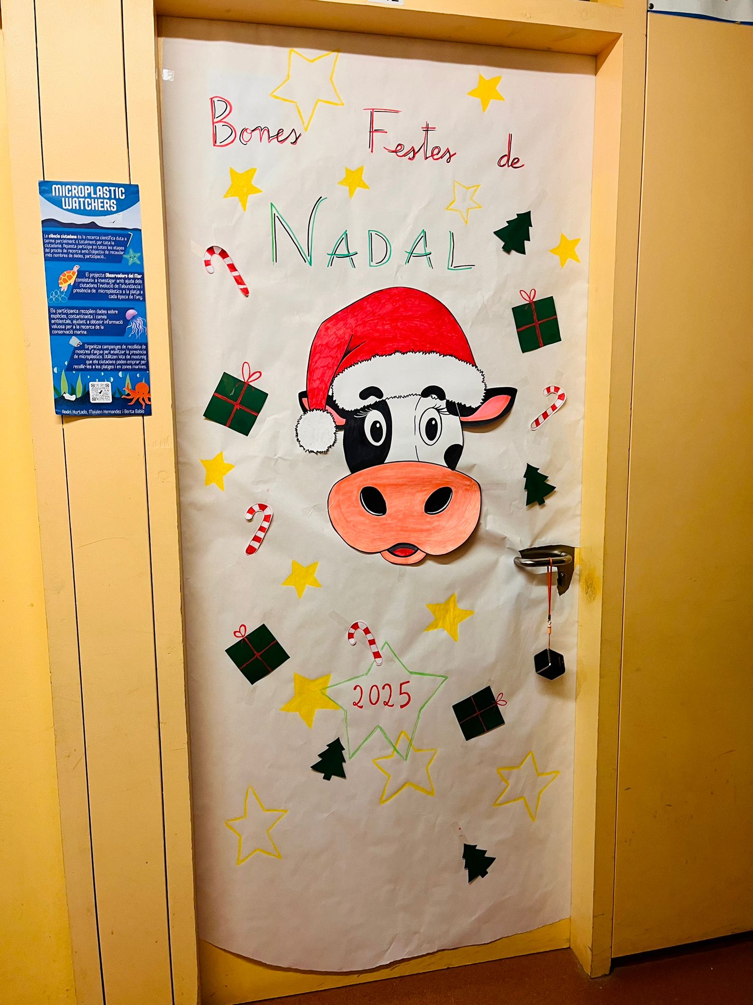 WhatsApp Image 2025-12-17 at 18.11.51