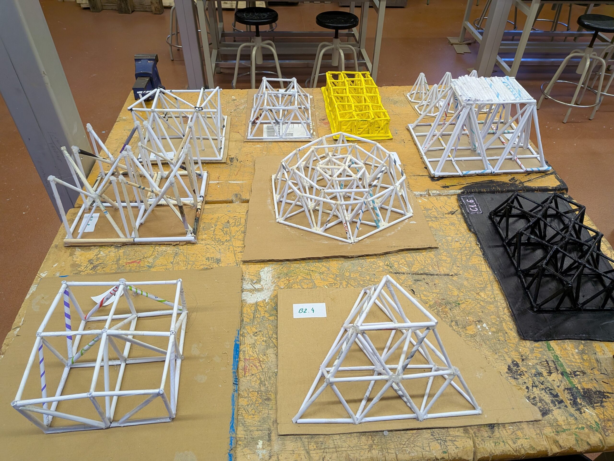 PXL_20251128_071958691 (2)