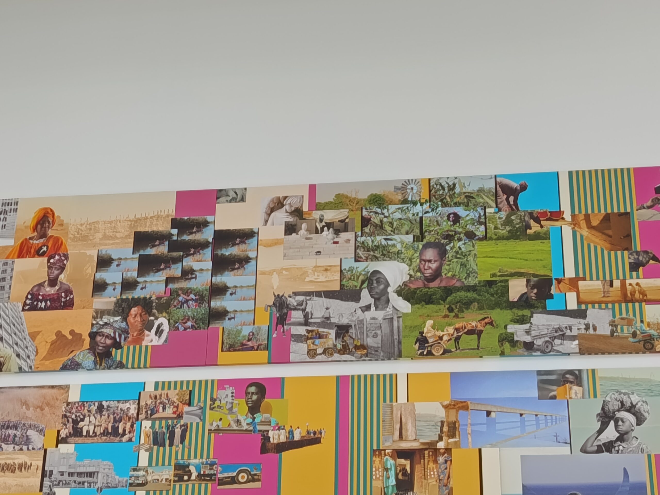 IMG_20260220_120457 (1)