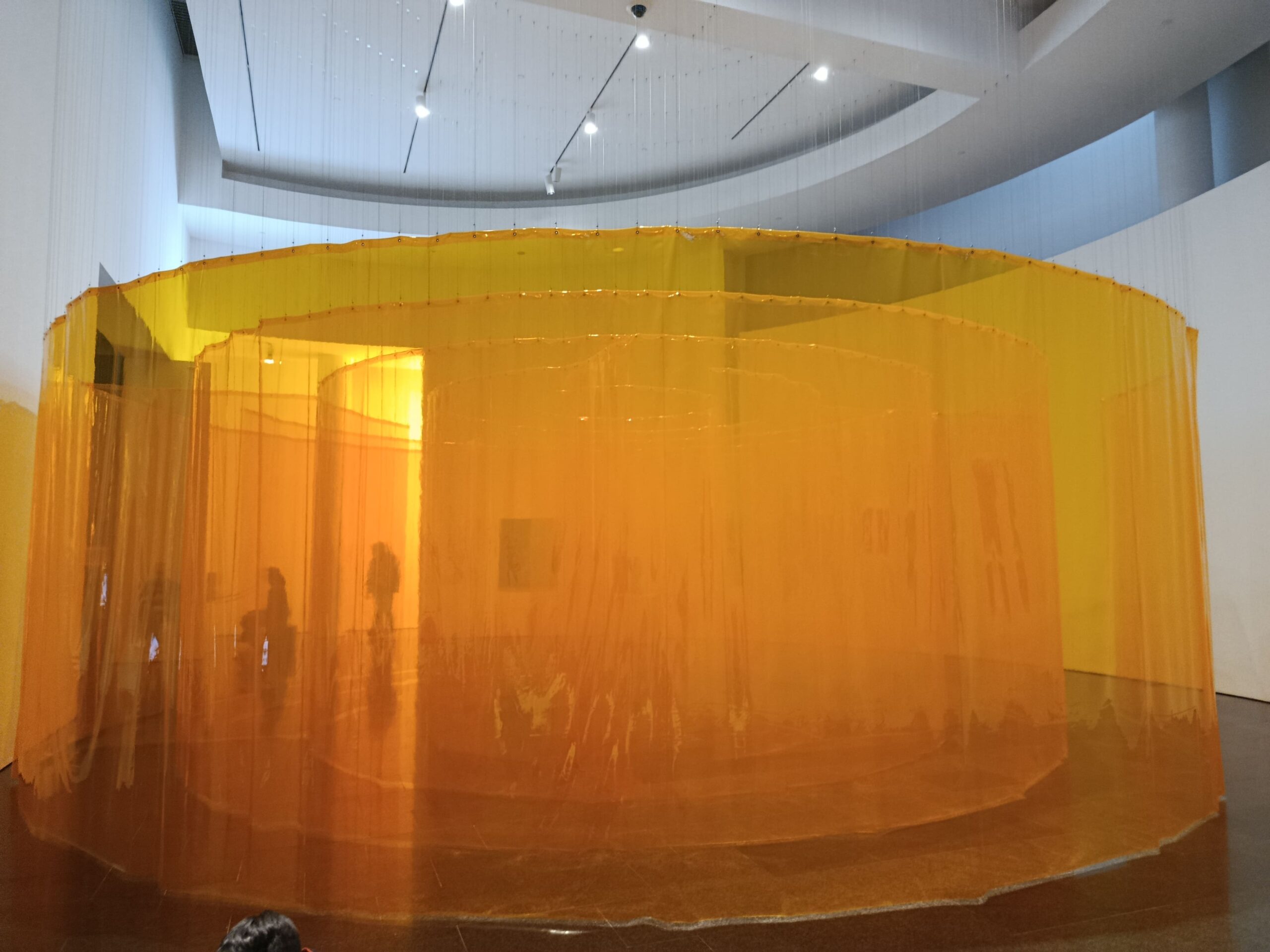 IMG_20260220_121503 (1)