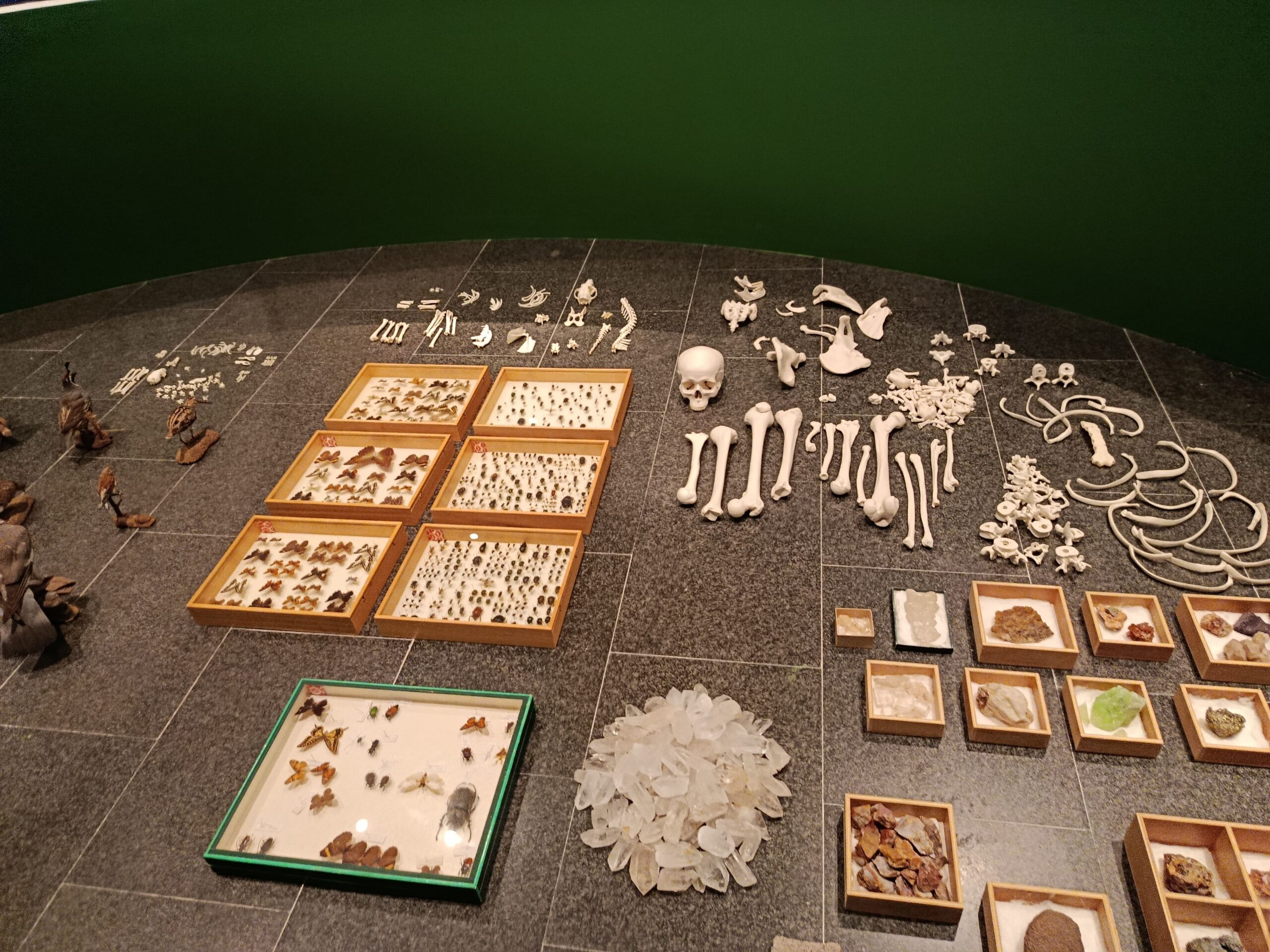 IMG_20260220_125246 (1)