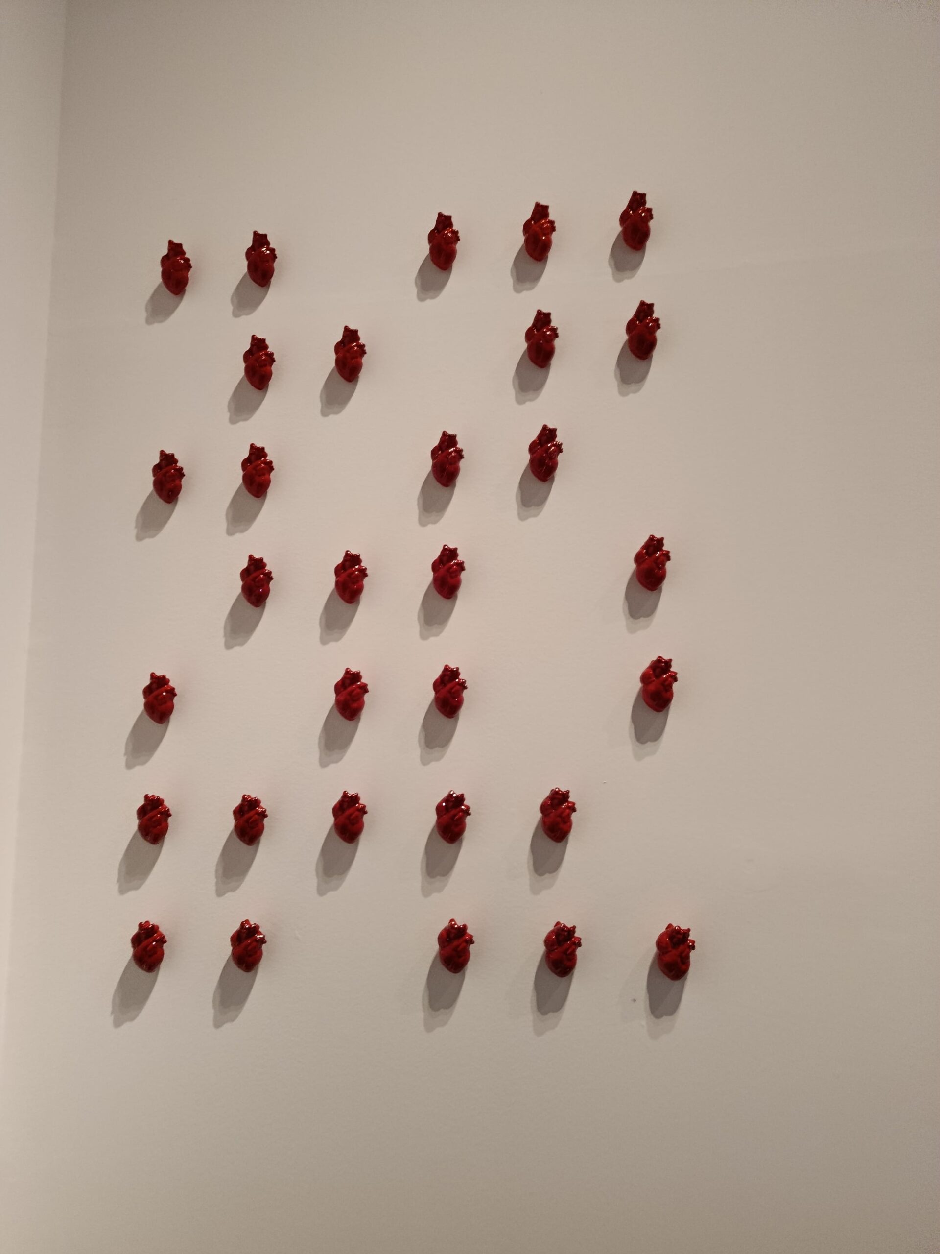 IMG_20260220_125318 (1)