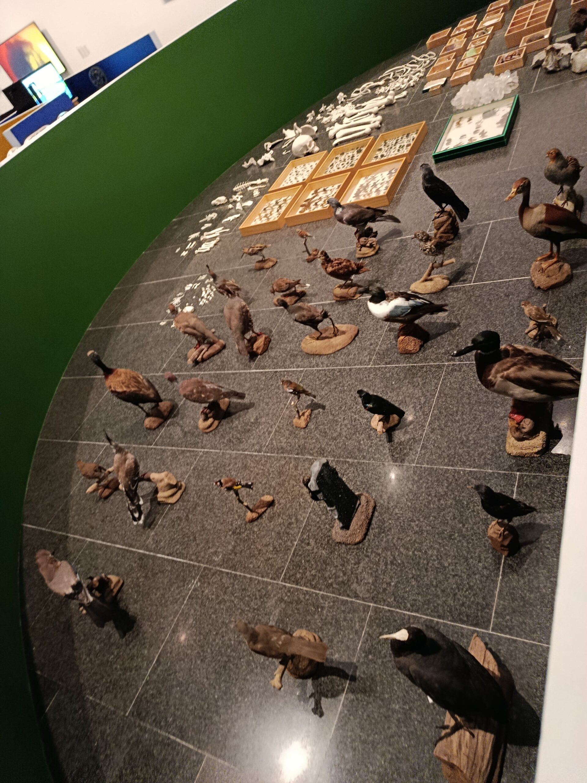 IMG_20260220_130158 (1)