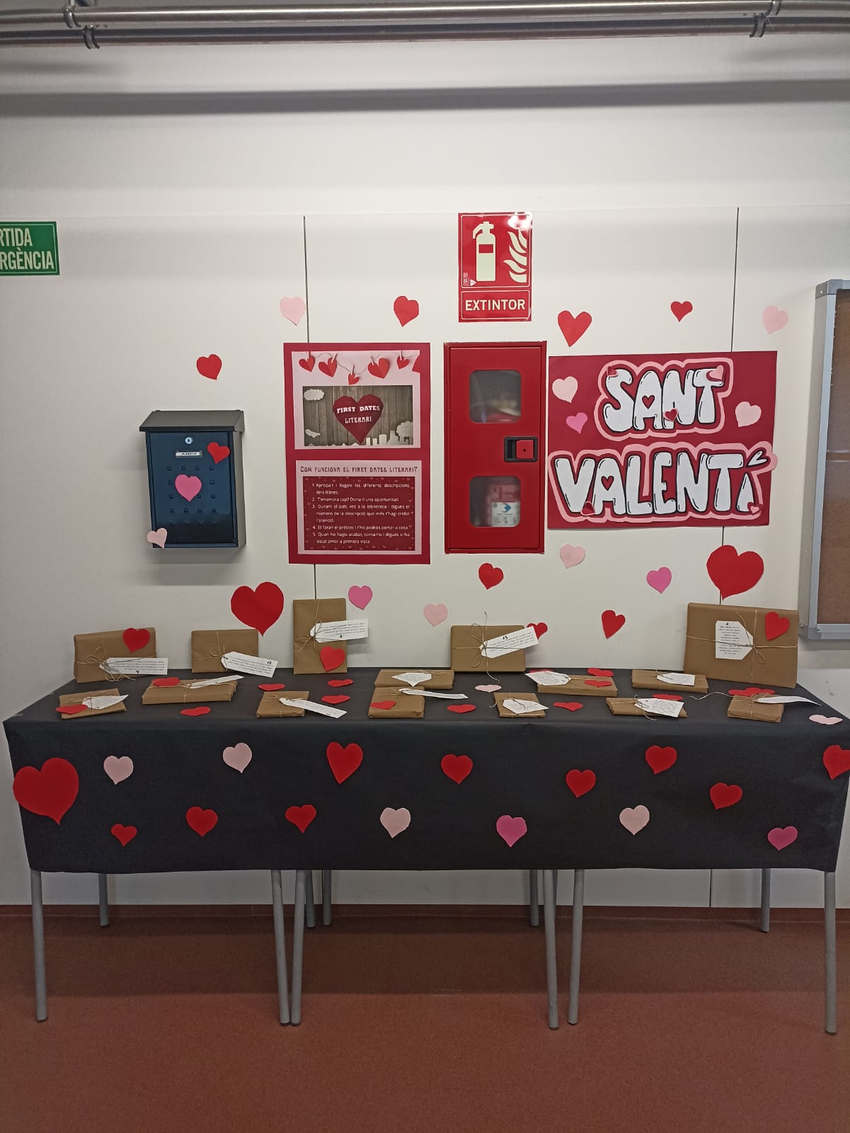 WhatsApp Image 2026-02-10 at 09.13.32 (1)