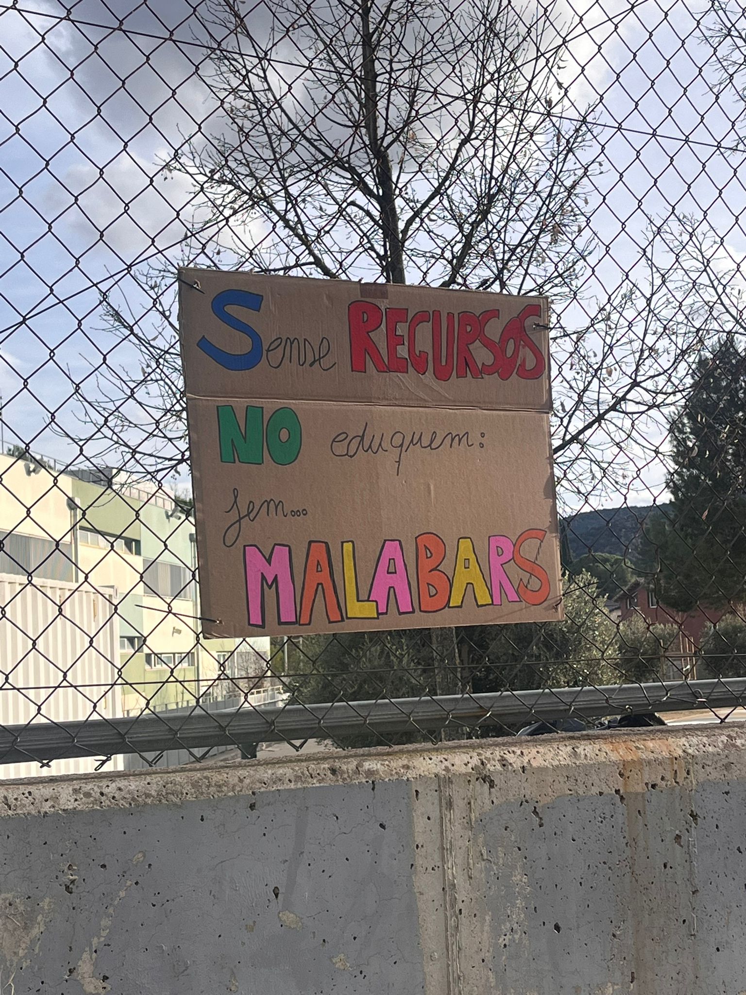 WhatsApp Image 2026-02-10 at 16.47.52