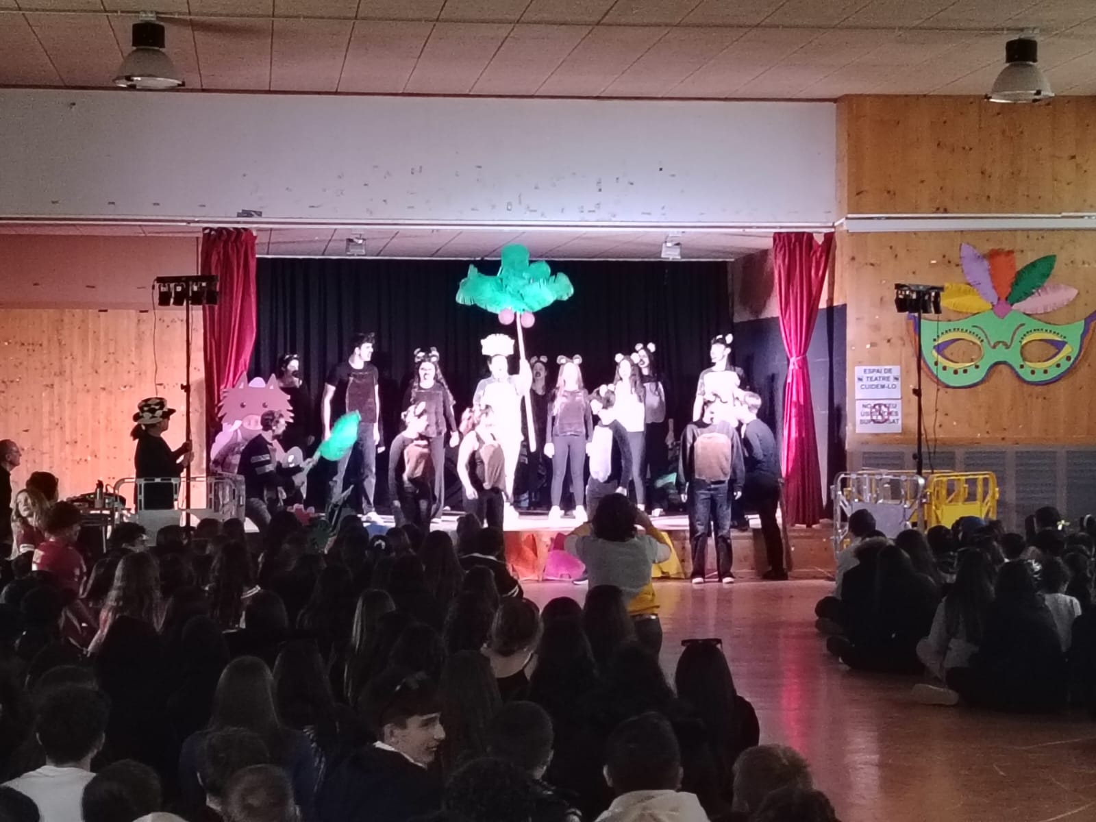 WhatsApp Image 2026-02-13 at 15.23.48 (2)