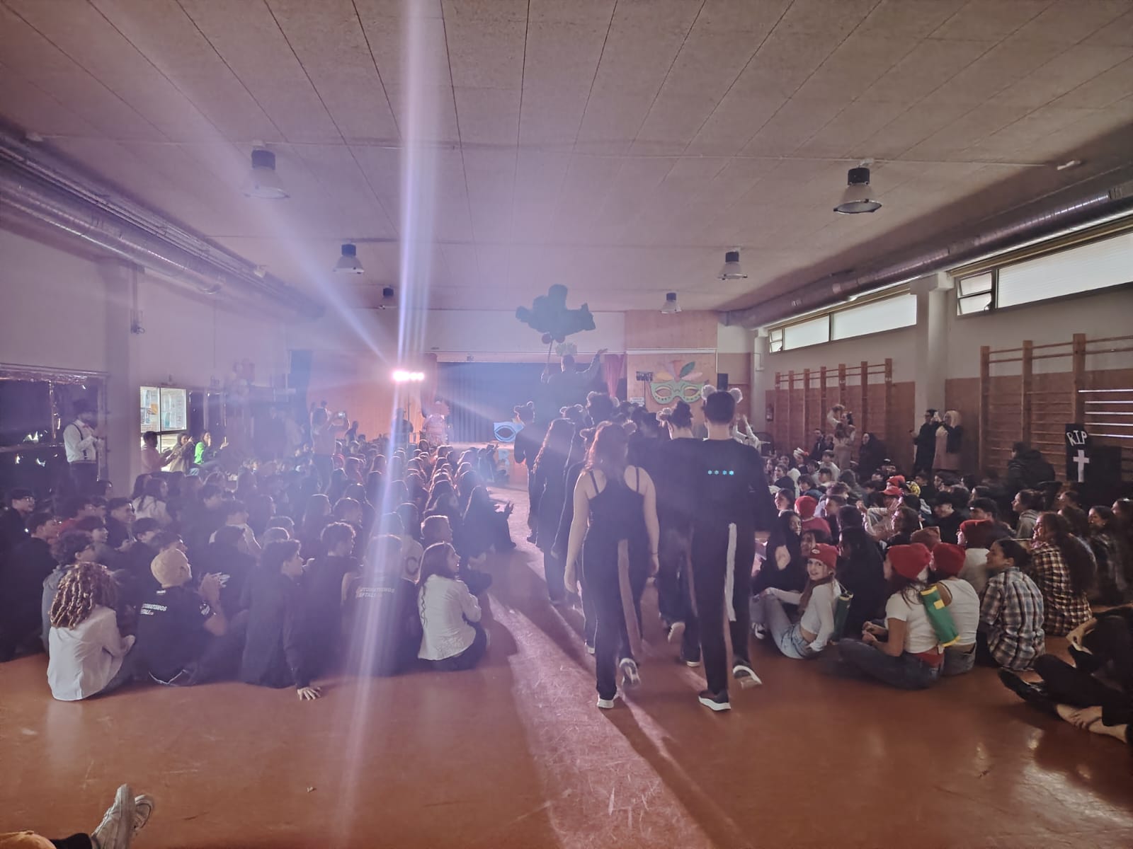 WhatsApp Image 2026-02-13 at 15.23.49