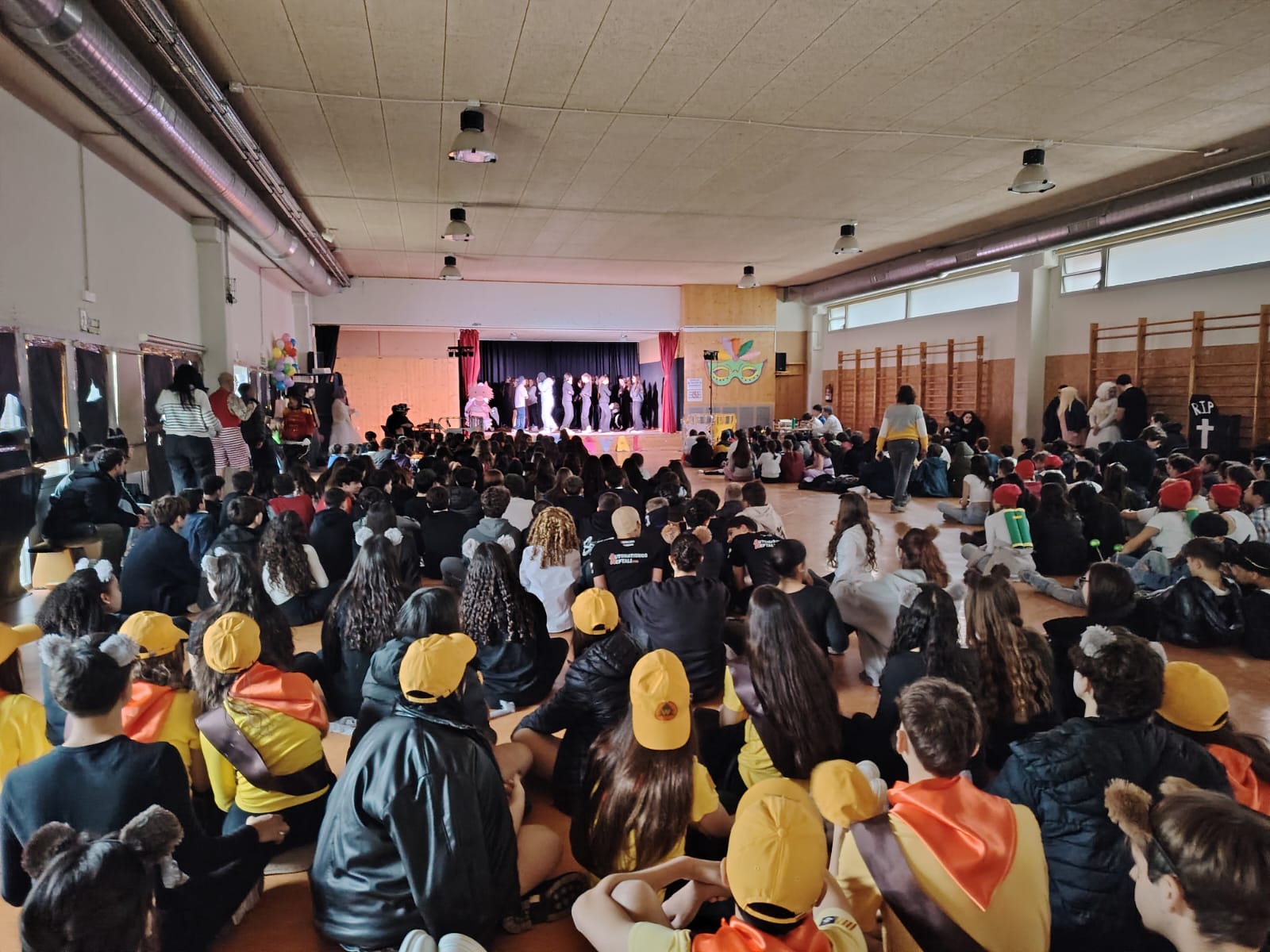 WhatsApp Image 2026-02-13 at 15.23.51 (2)