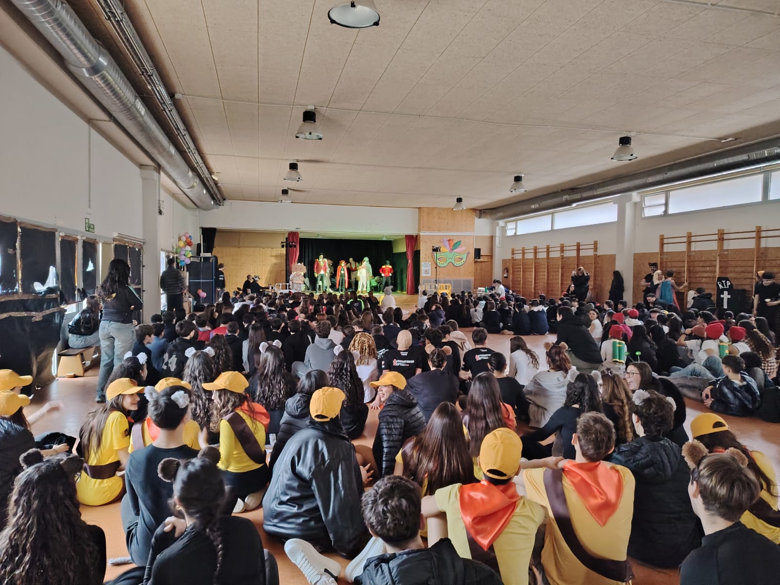 WhatsApp Image 2026-02-13 at 15.23.52 (1)