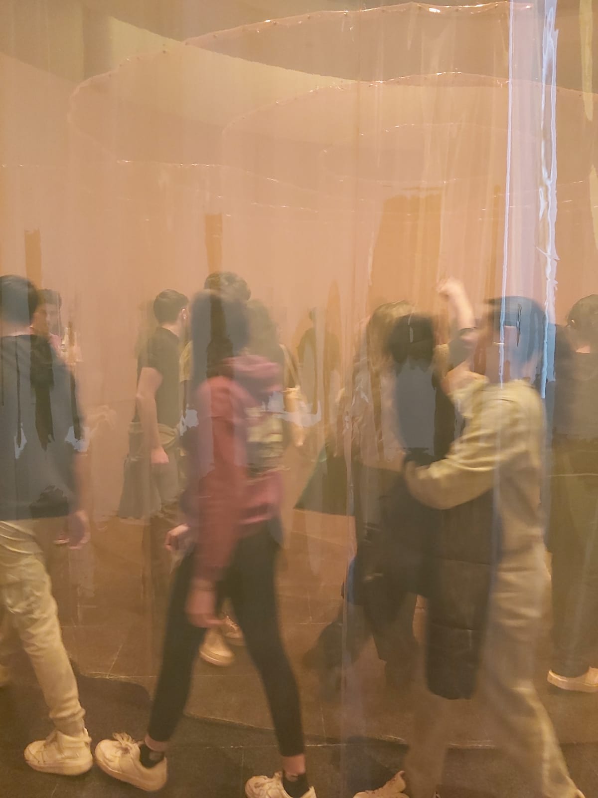 WhatsApp Image 2026-02-20 at 14.05.44