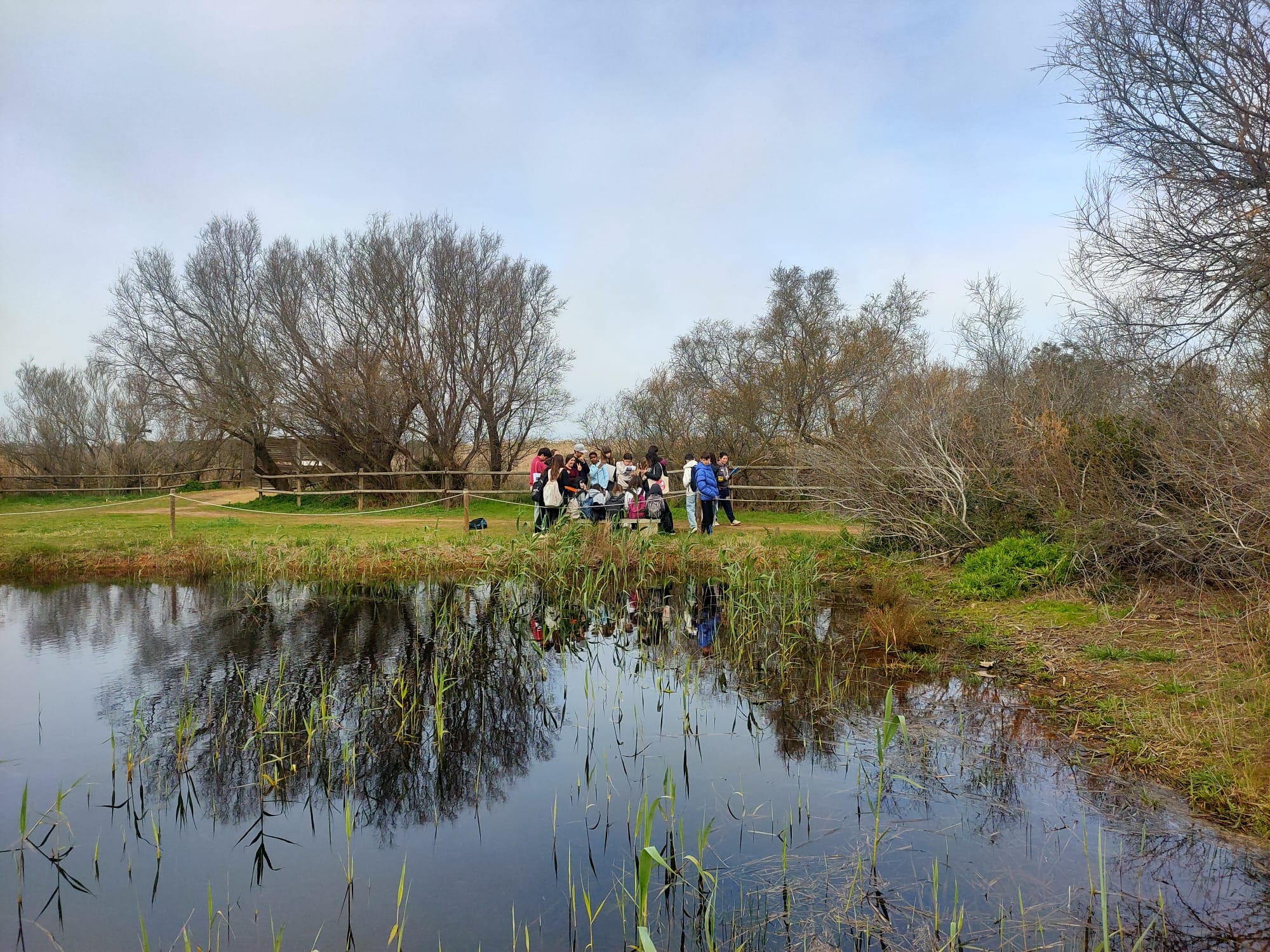 WhatsApp Image 2026-02-24 at 13.45.28