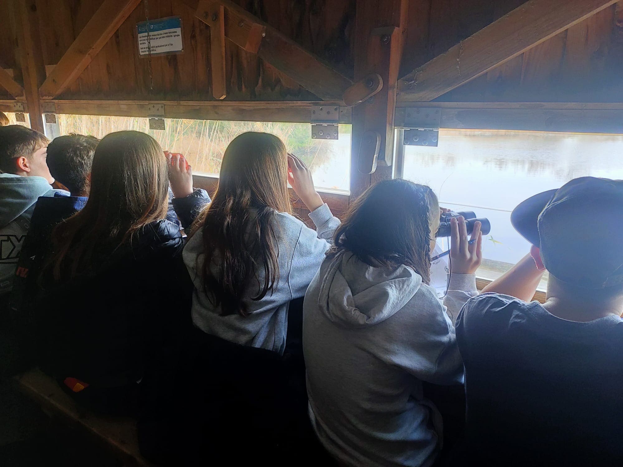 WhatsApp Image 2026-02-24 at 13.45.29 (3)