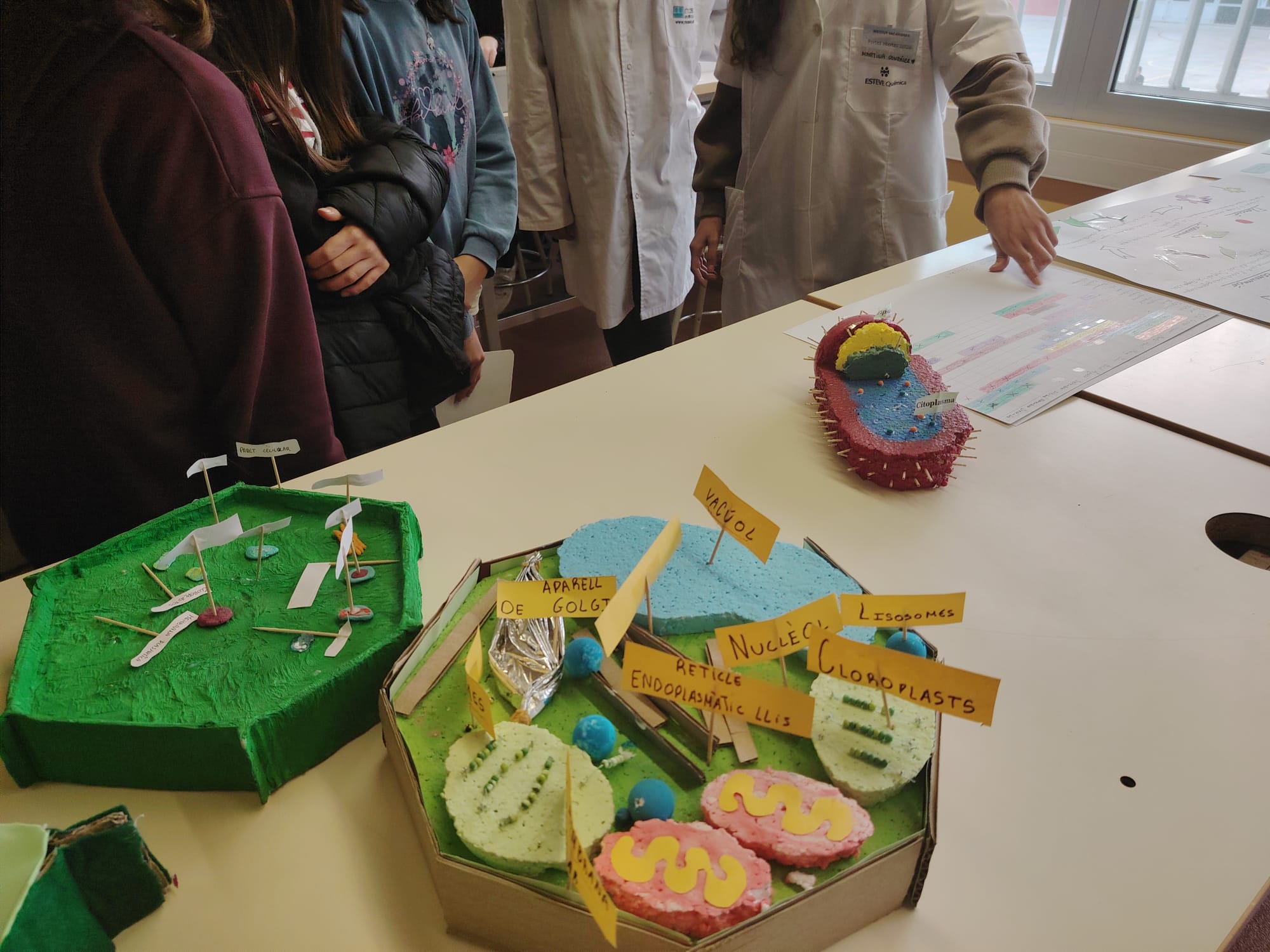 WhatsApp Image 2026-03-03 at 18.26.50 (1)