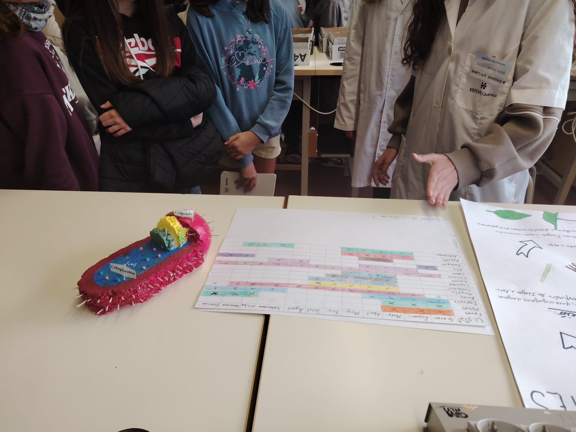 WhatsApp Image 2026-03-03 at 18.26.50 (2)