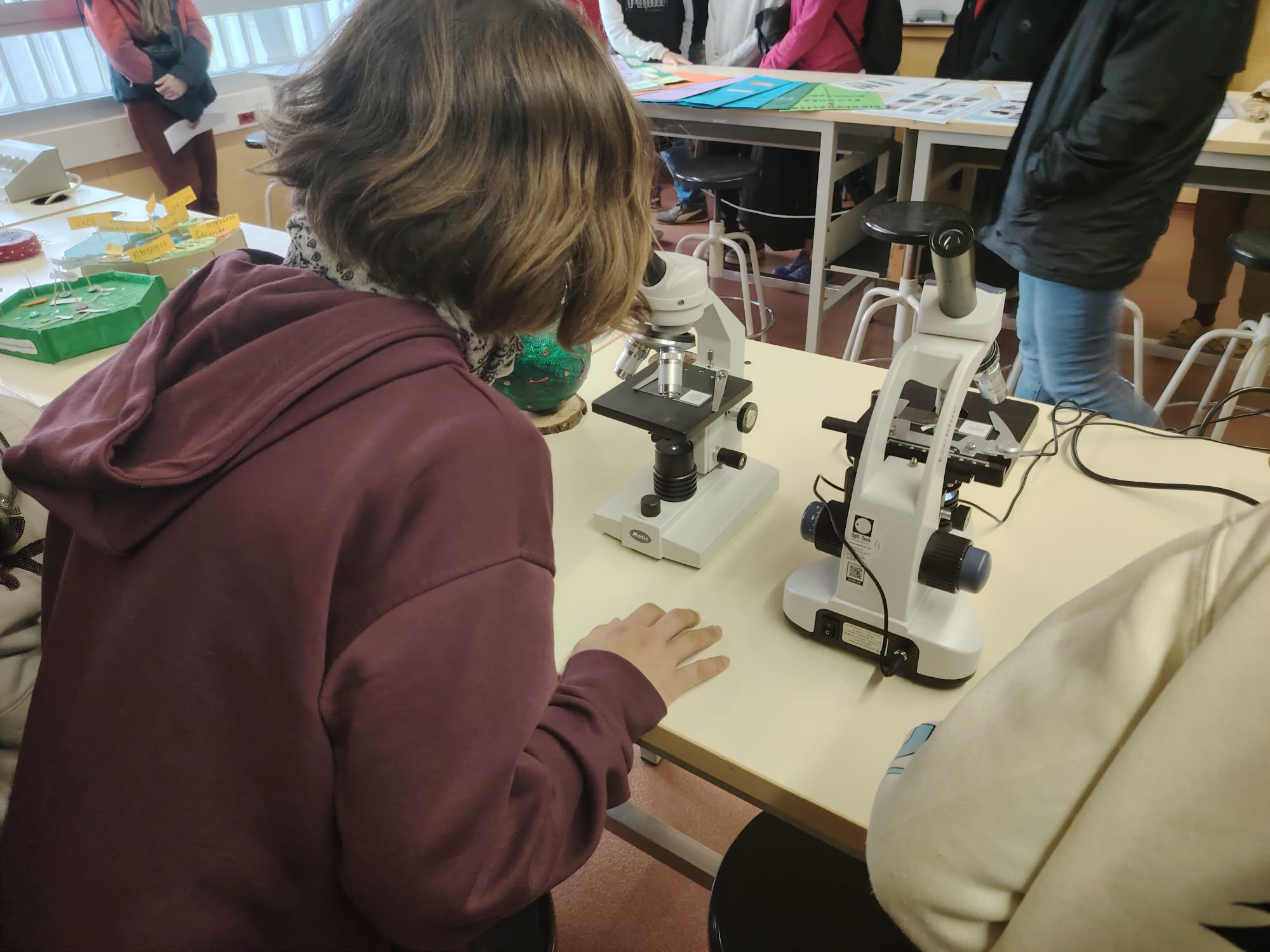 WhatsApp Image 2026-03-03 at 18.26.50