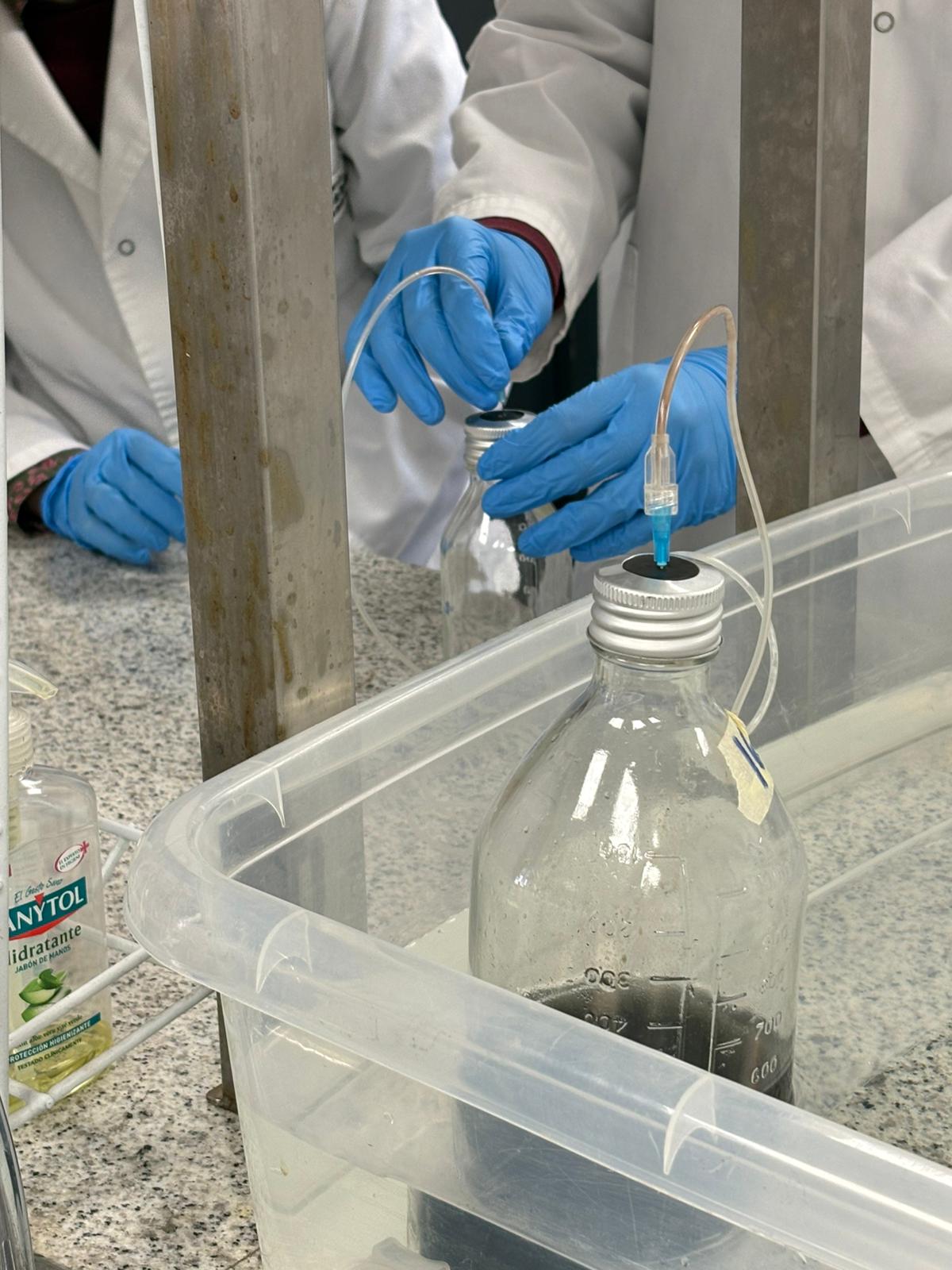 WhatsApp Image 2026-03-13 at 13.29.07 (1)