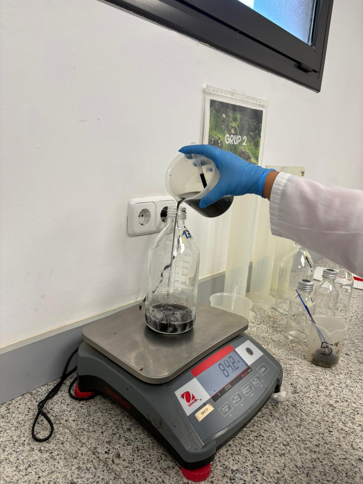 WhatsApp Image 2026-03-13 at 13.29.07 (2)