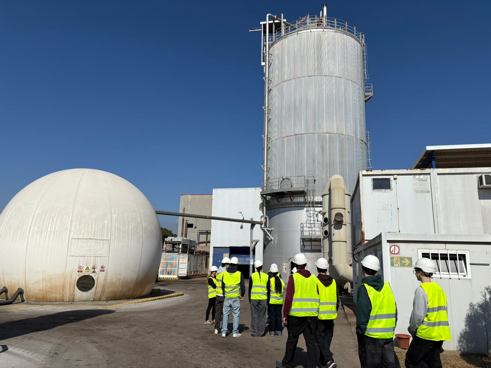 WhatsApp Image 2026-03-13 at 13.29.07 (5)