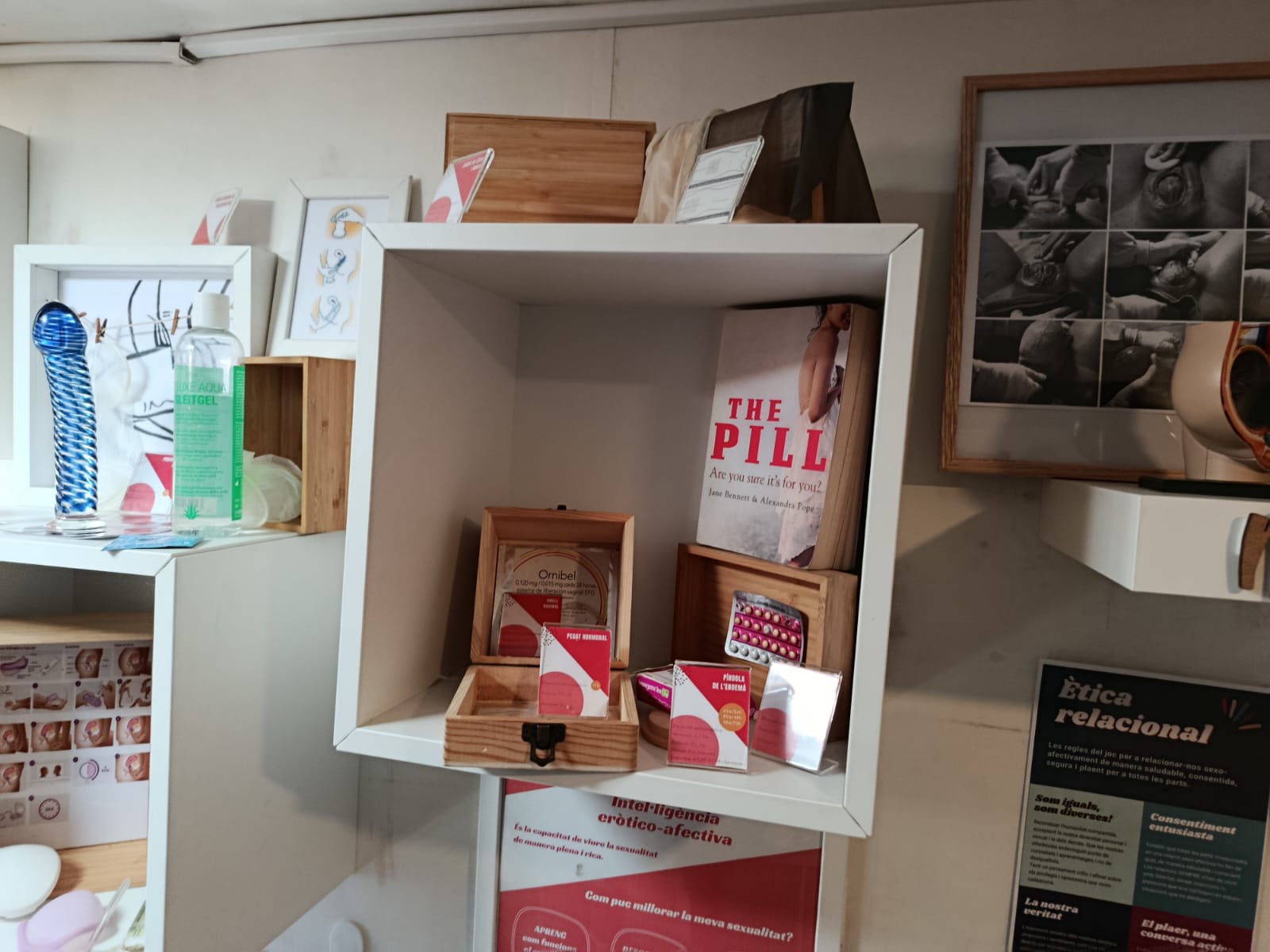 WhatsApp Image 2026-03-14 at 00.24.40 (1)