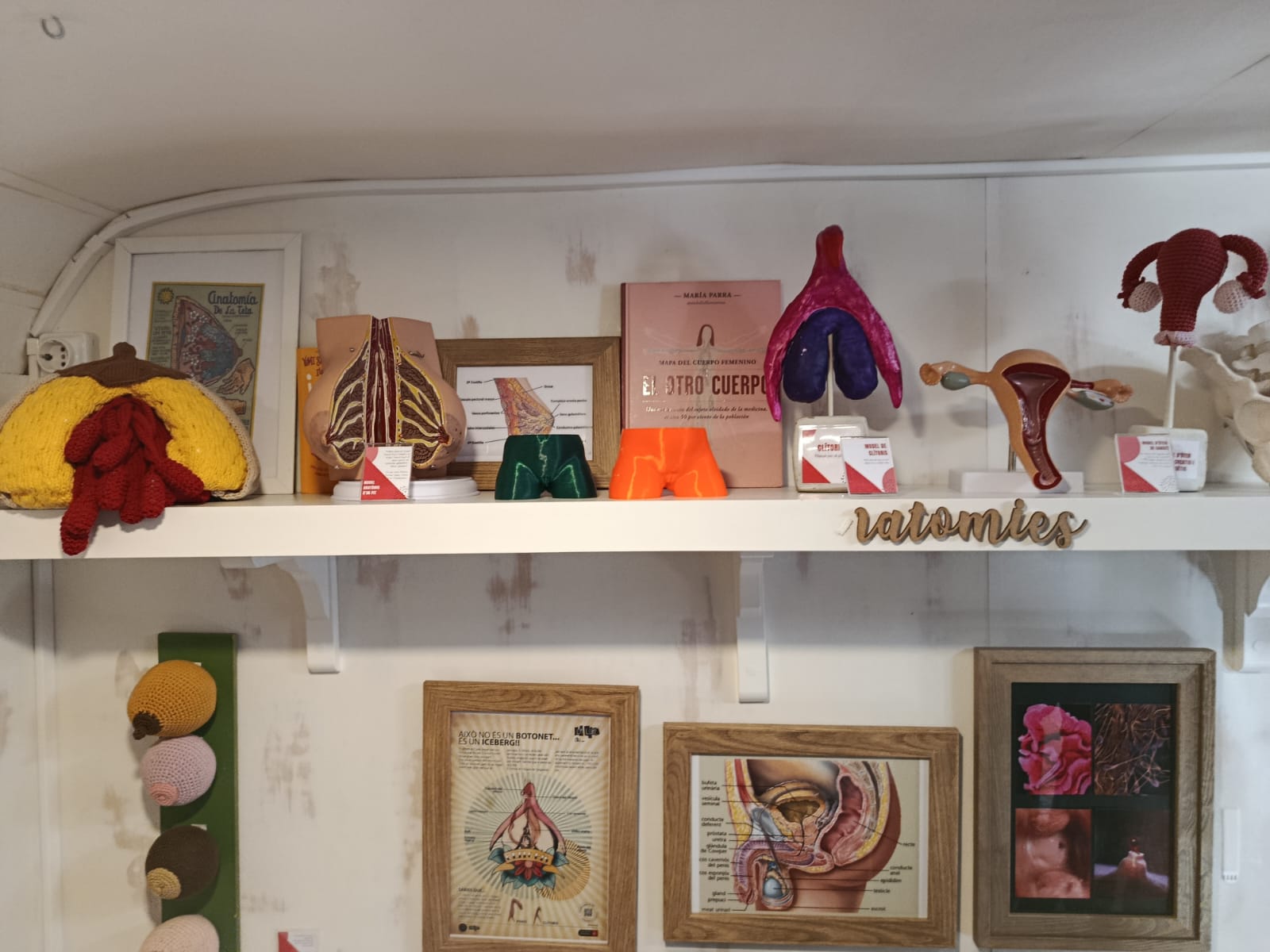 WhatsApp Image 2026-03-14 at 00.24.41